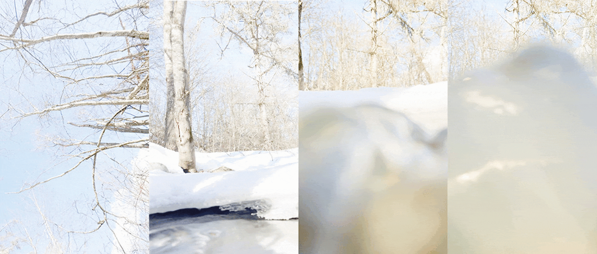 Flux | zine | photography — Изображение №2 — Интерфейсы на Dprofile