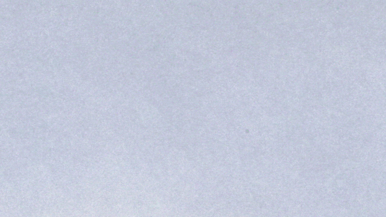 Lettering | Sort Sol — Изображение №2 — Брендинг, Графика на Dprofile