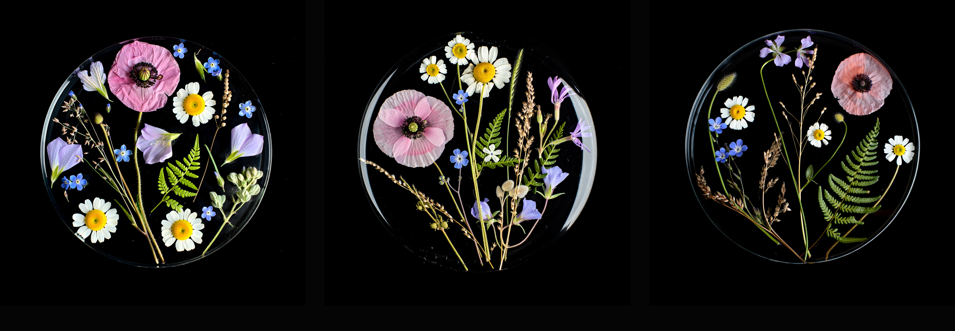 ORGANIC VS EMBOSS (Дизайн плаката) — Изображение №4 — Графика на Dprofile