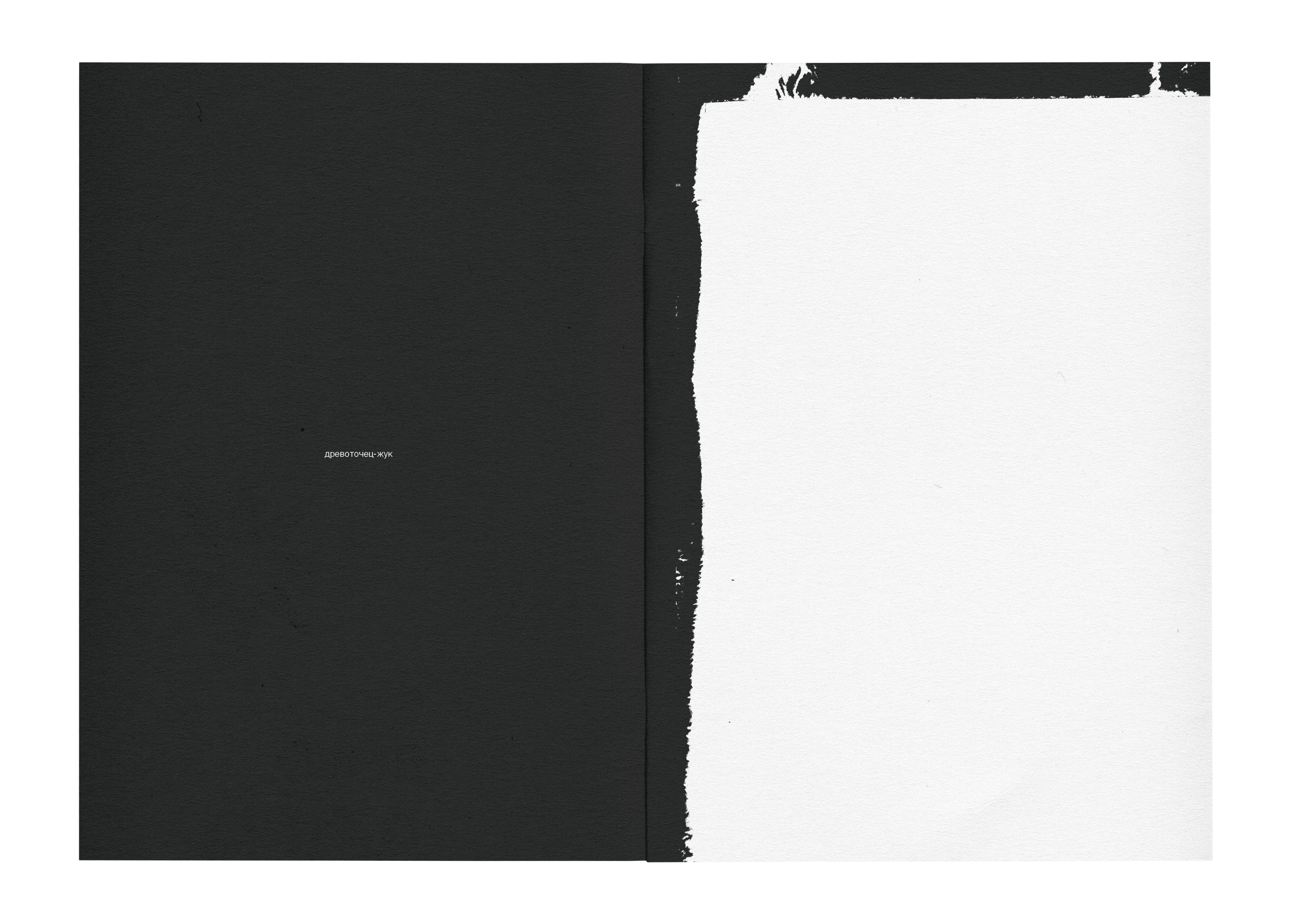 zine based on a poem by J. Brodsky "Nature Morte" — Изображение №9 — Иллюстрация, Графика на Dprofile