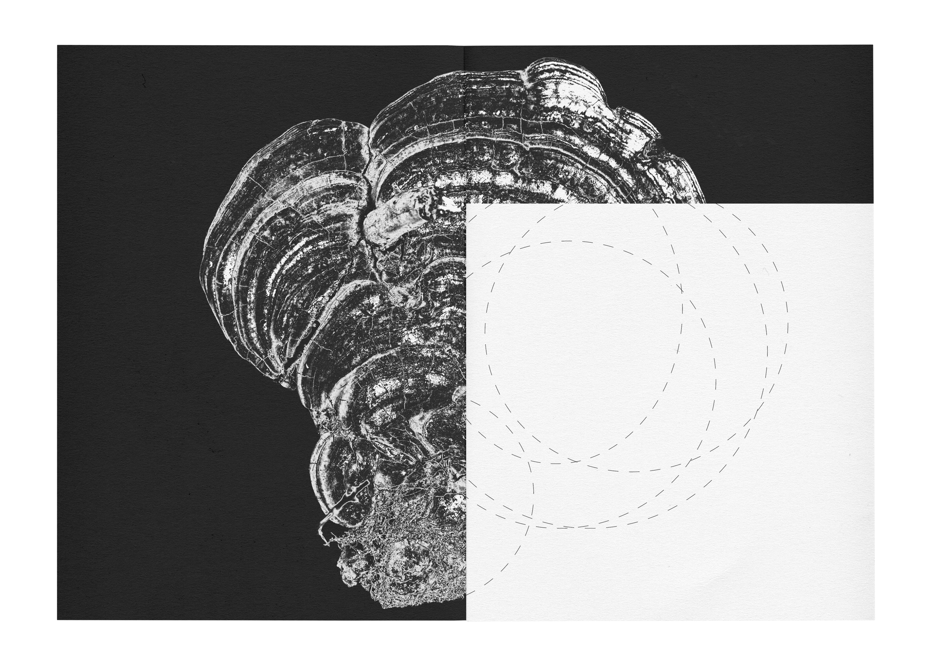 zine based on a poem by J. Brodsky "Nature Morte" — Изображение №23 — Иллюстрация, Графика на Dprofile