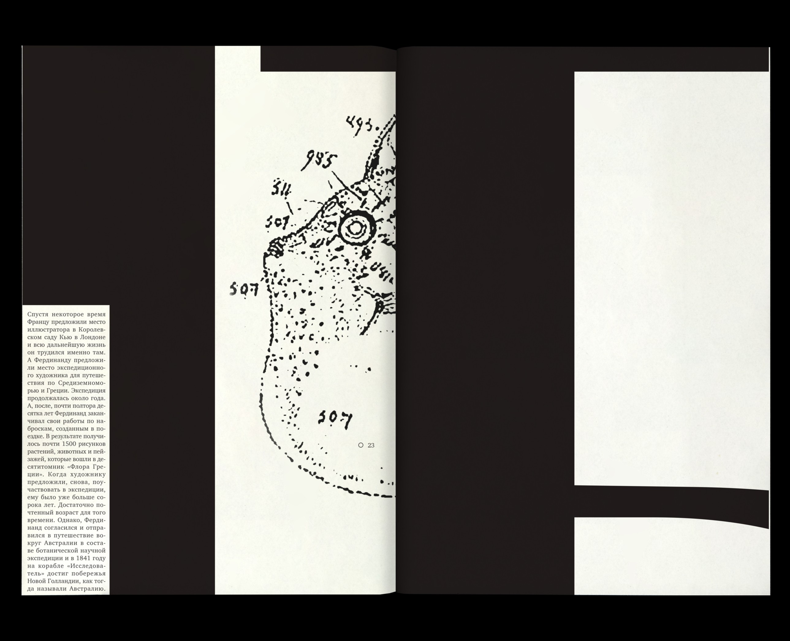 Форма и способ. Зин на Dprofile