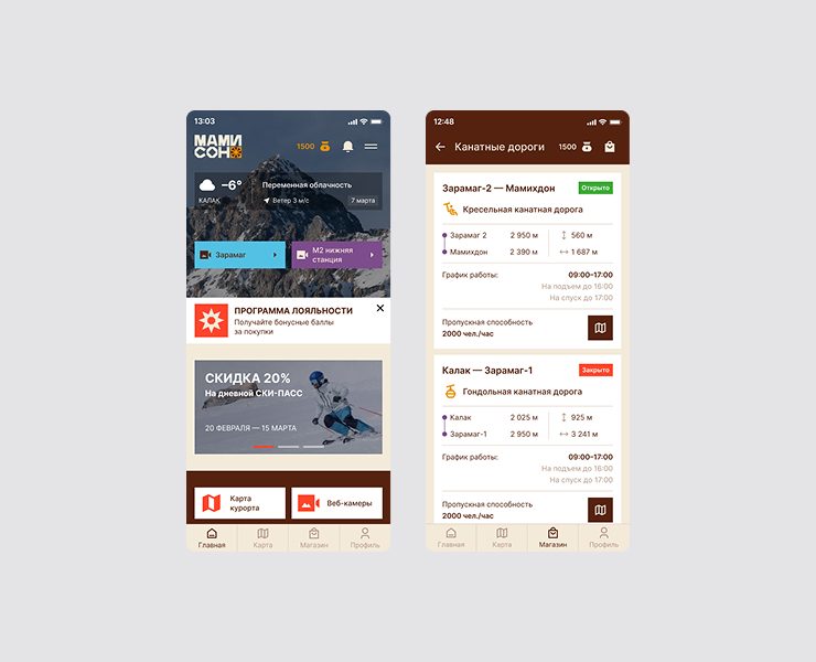 Мобильное приложение для курорта Мамисон — Интерфейсы на Dprofile