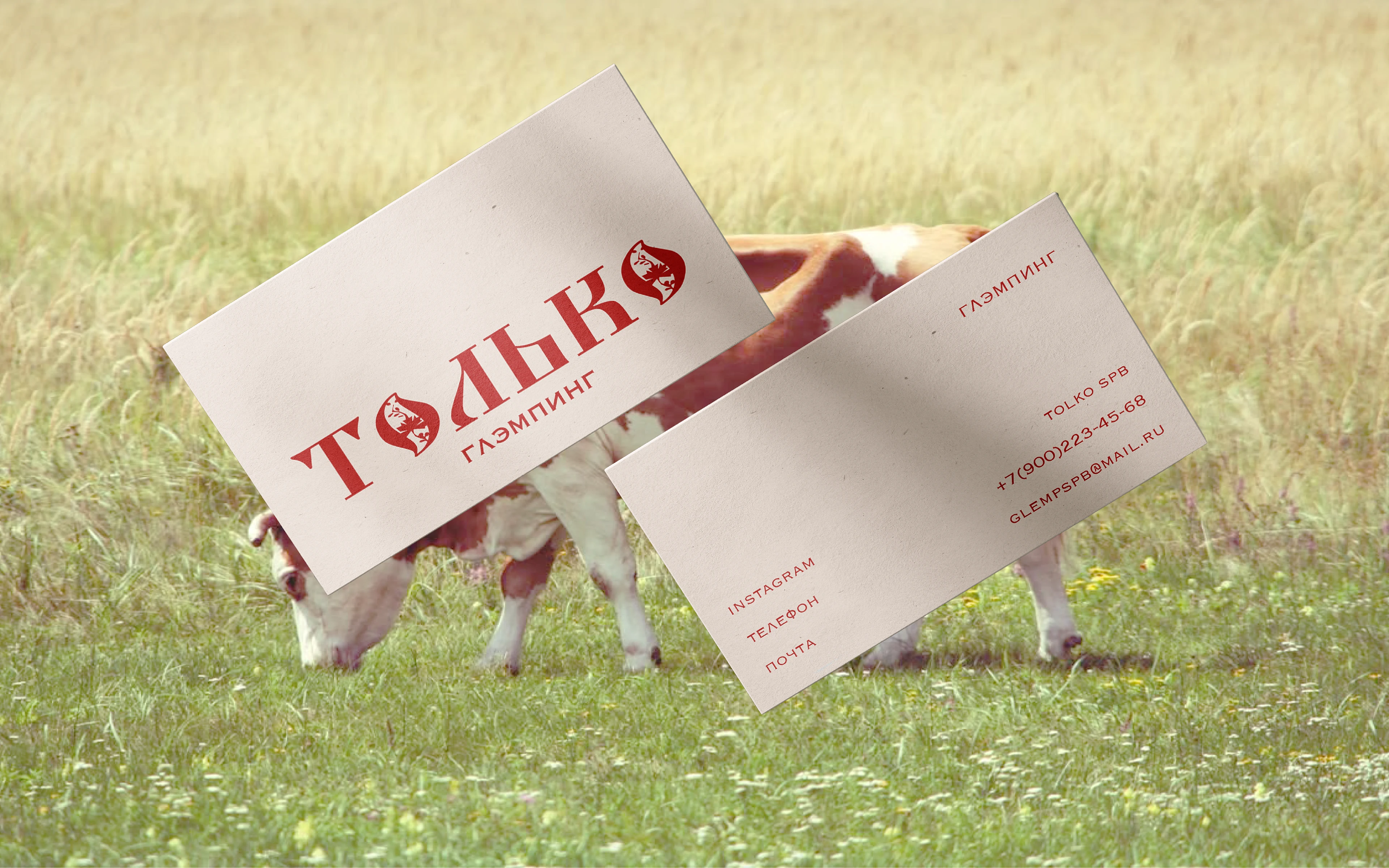 ТОЛЬКО | Glamping Identity — Изображение №5 — Брендинг, Графика на Dprofile