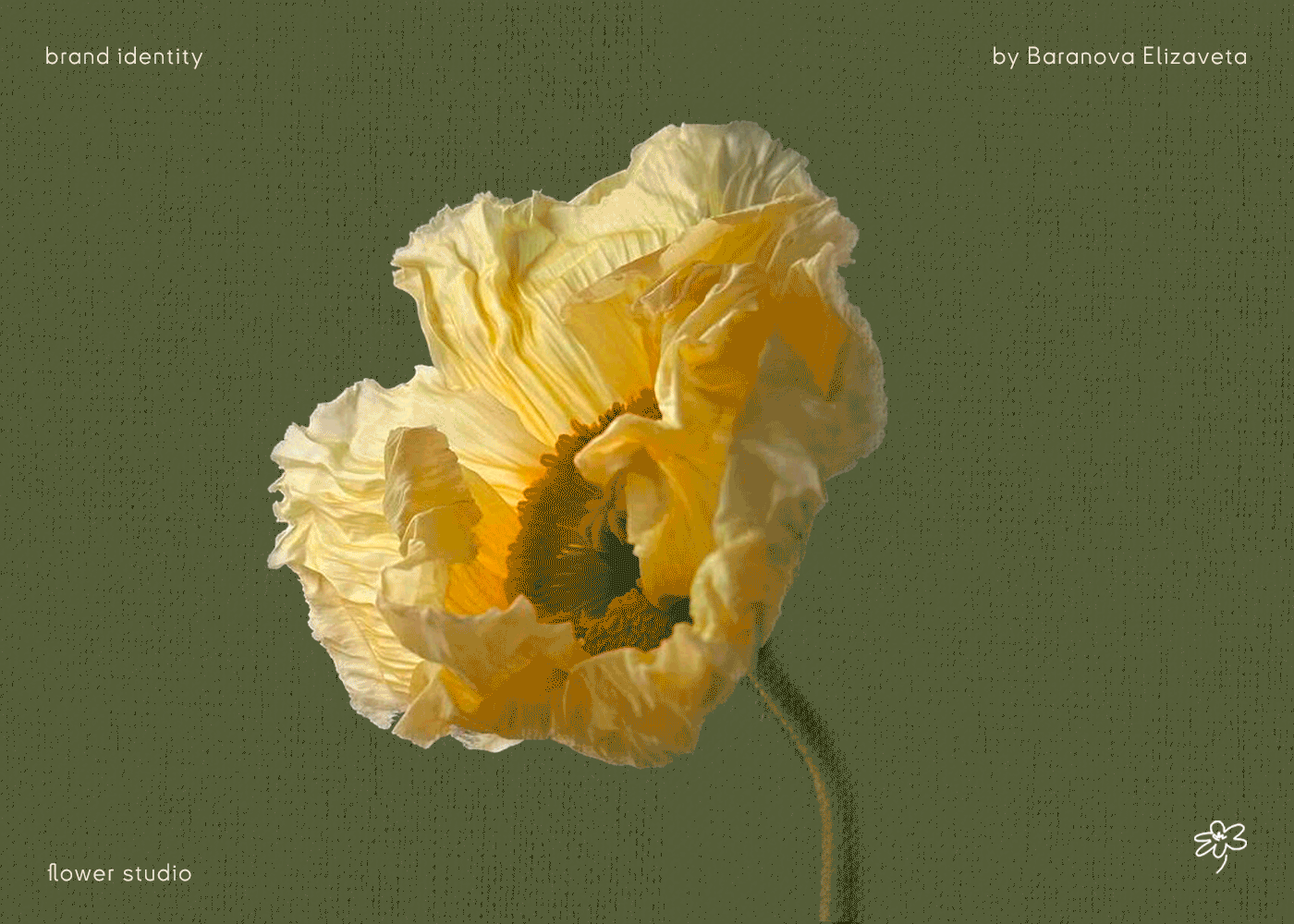 Flower studio | P'tite Marie | Фирстиль & Анимация — Изображение №1 — Брендинг, Графика на Dprofile