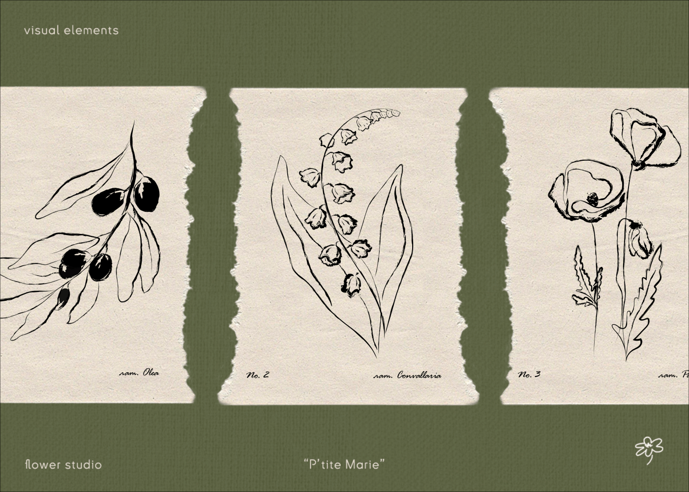 Flower studio | P'tite Marie | Фирстиль & Анимация — Изображение №15 — Брендинг, Графика на Dprofile