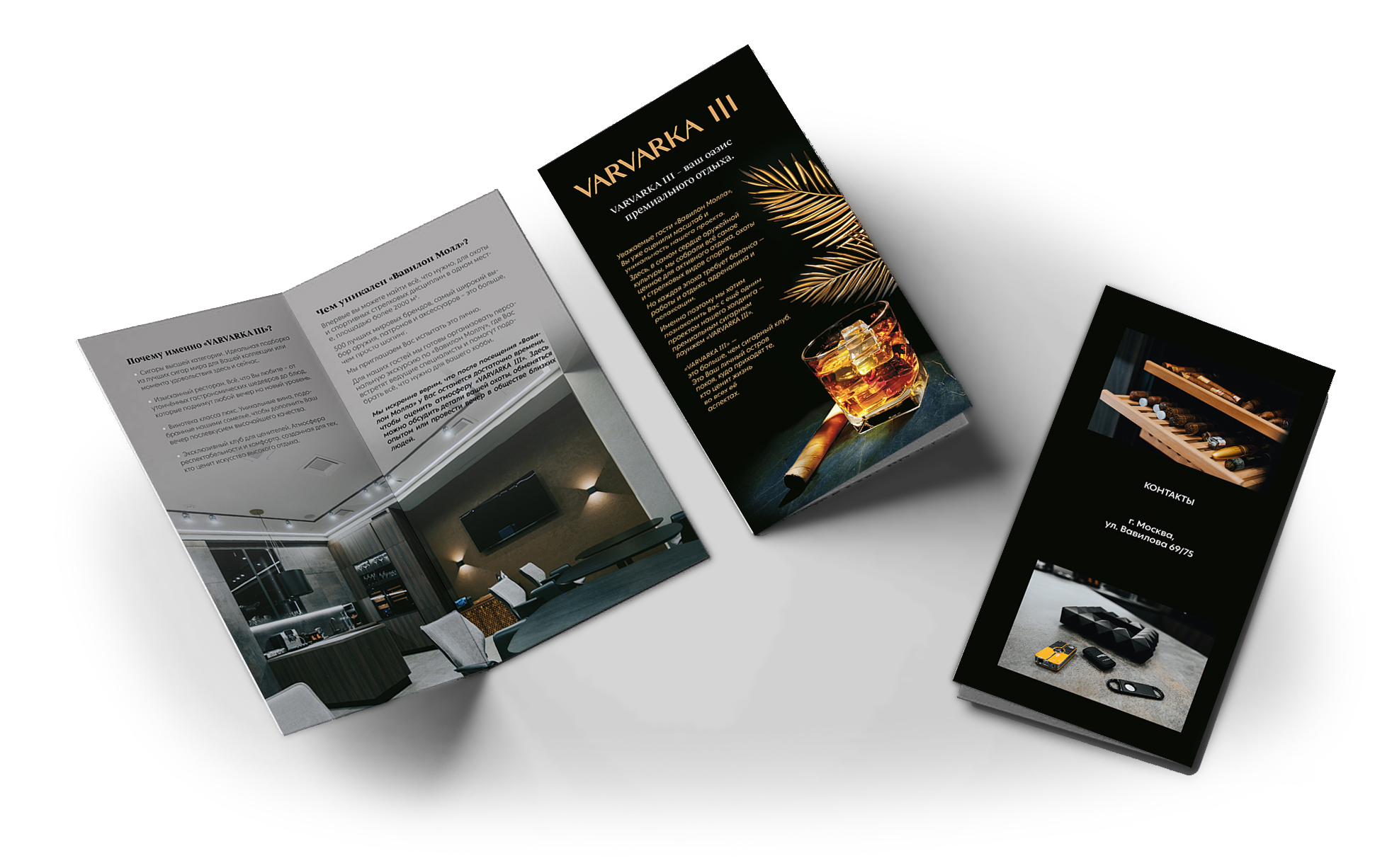 Буклеты, плакаты, листовки. — Изображение №8 — Брендинг, Графика на Dprofile