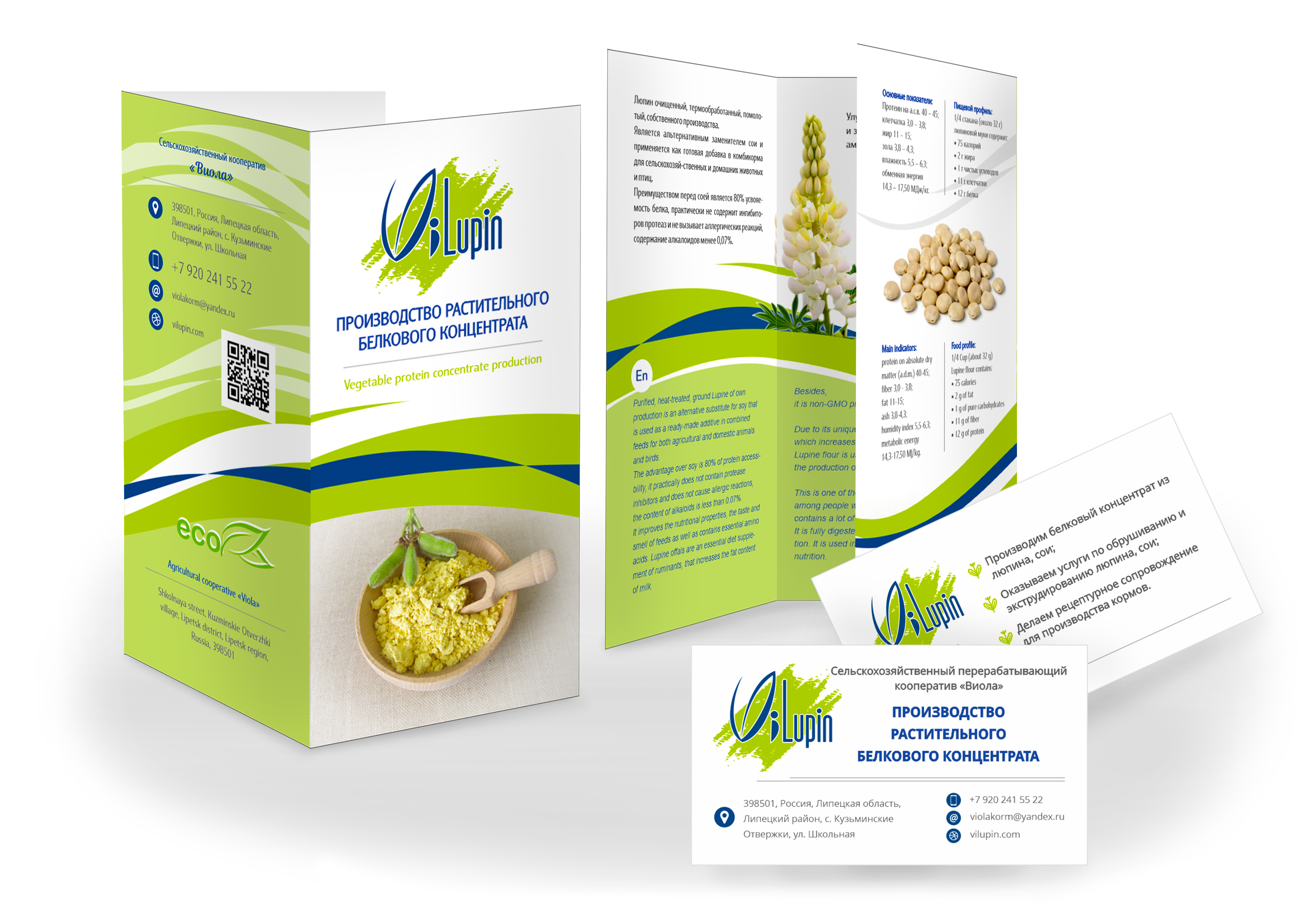 Буклеты, плакаты, листовки. — Изображение №7 — Брендинг, Графика на Dprofile