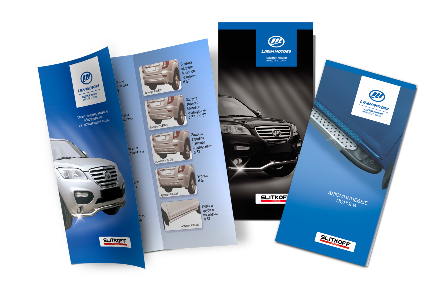 Буклеты, плакаты, листовки. — Изображение №2 — Брендинг, Графика на Dprofile