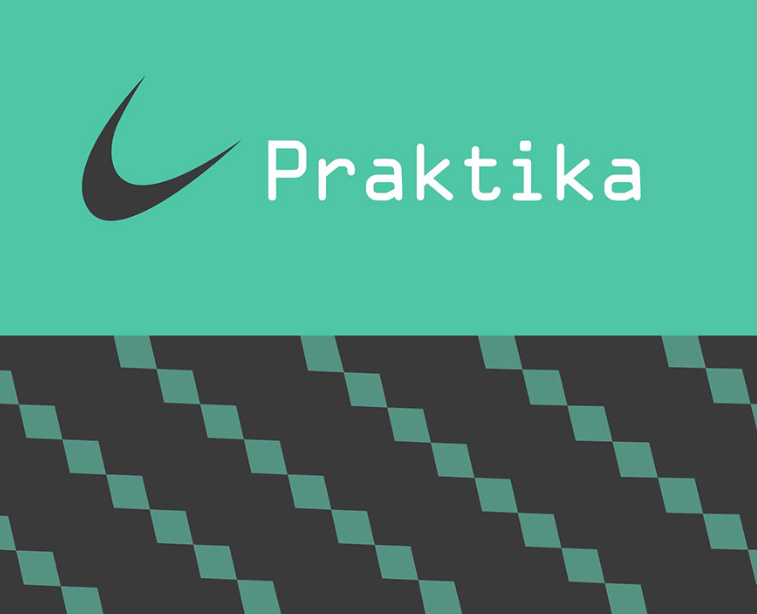 Айдентика для Praktika — сервиса доставки дронами — Брендинг на Dprofile