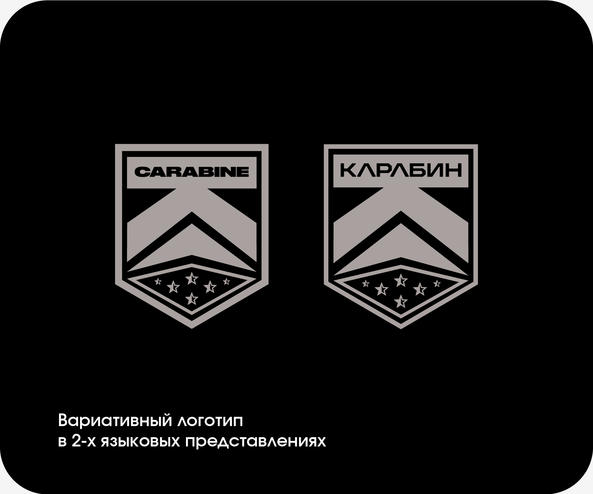 Логотип для военторга CARABINE STORE — Изображение №3 — Брендинг на Dprofile