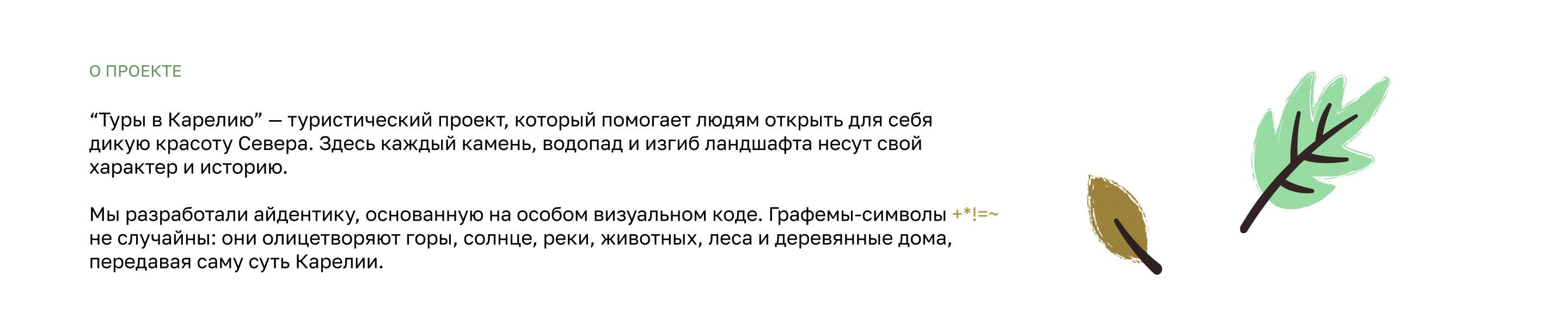 Авторские туры в Карелию|Brand identity — Изображение №1 — Брендинг, Иллюстрация на Dprofile