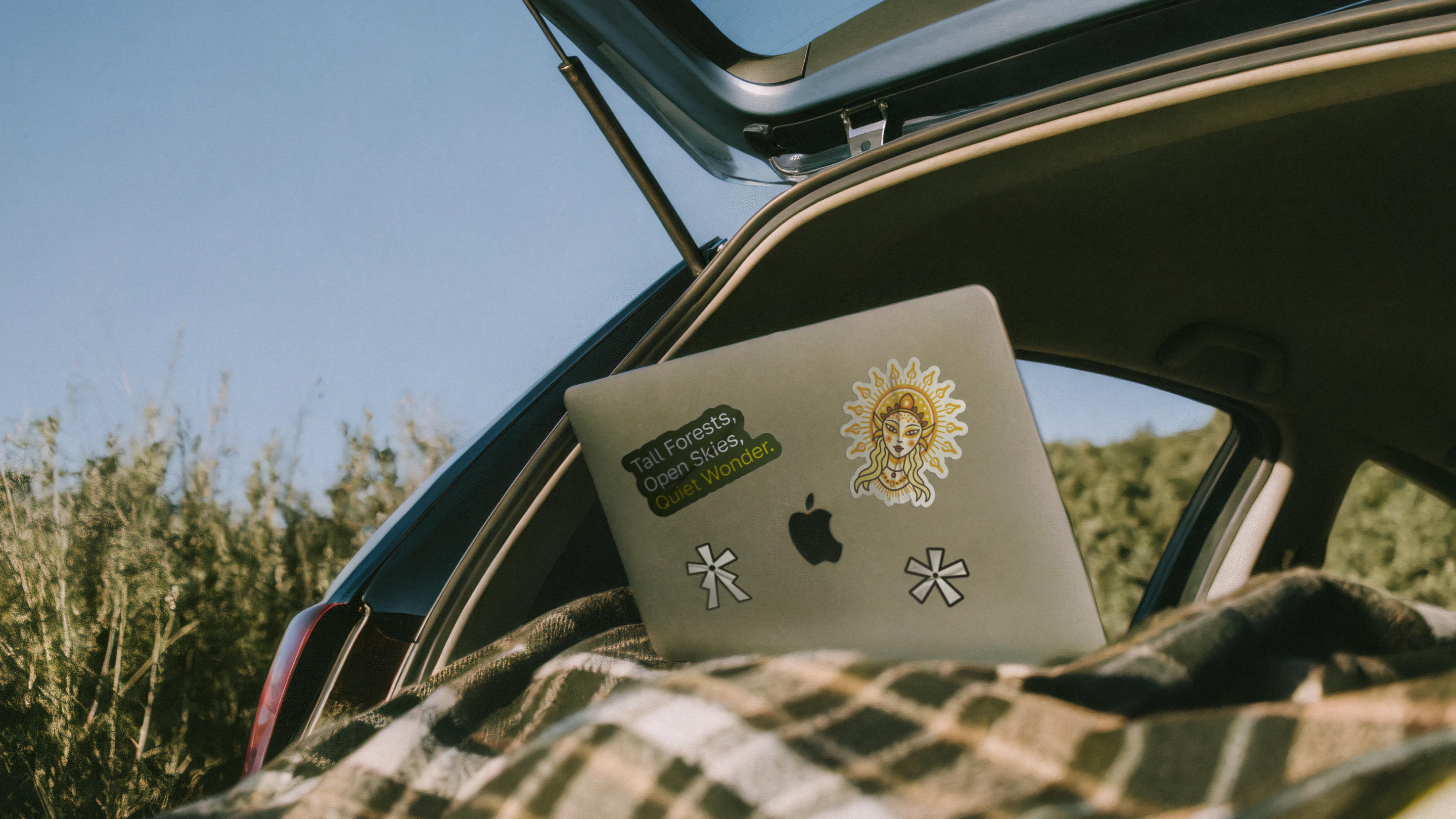 Авторские туры в Карелию|Brand identity — Изображение №6 — Брендинг, Иллюстрация на Dprofile