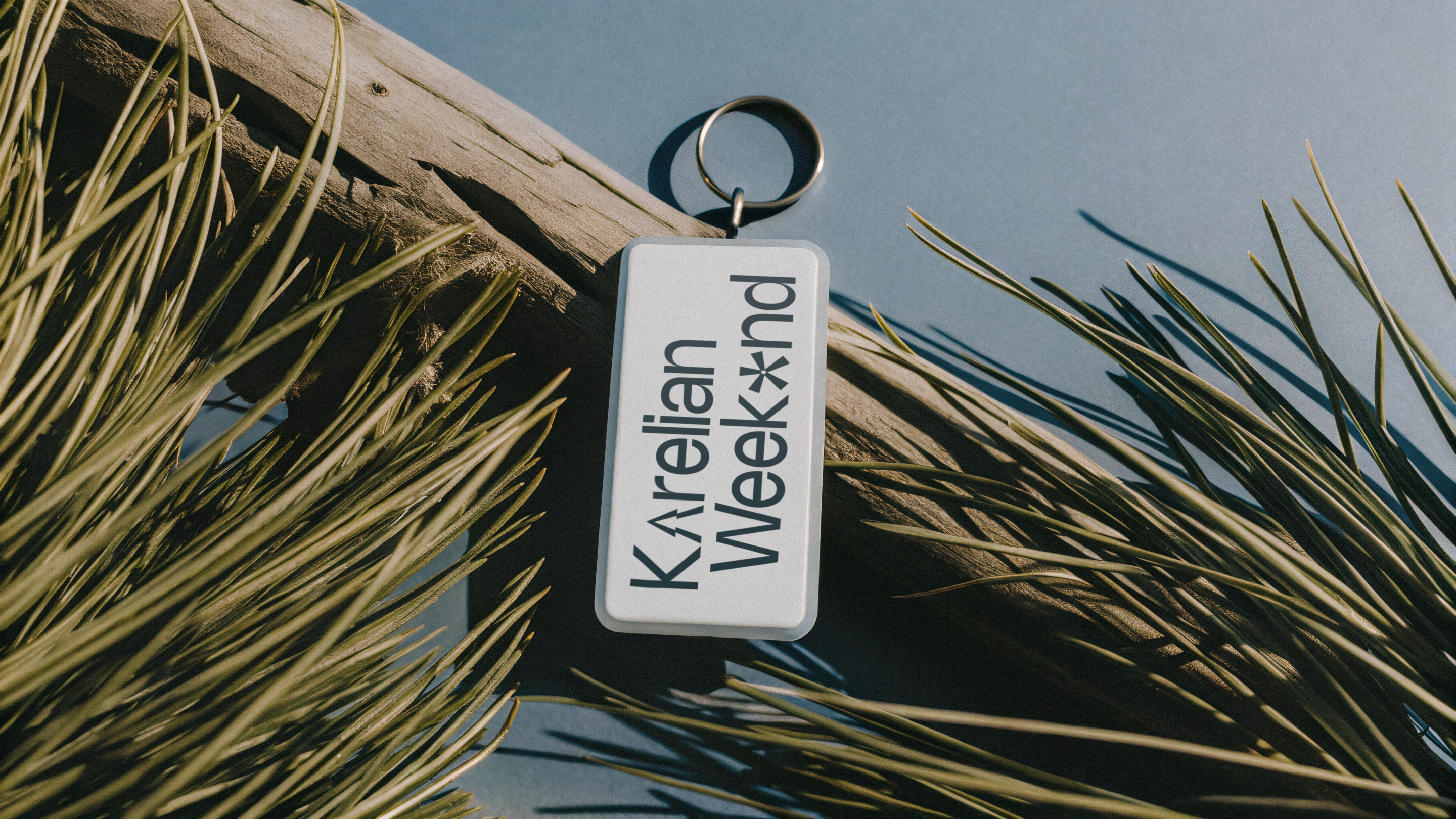 Авторские туры в Карелию|Brand identity — Изображение №11 — Брендинг, Иллюстрация на Dprofile