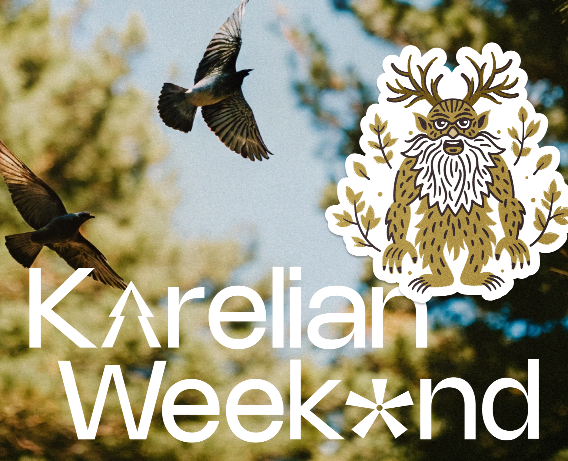 Авторские туры в Карелию|Brand identity на Dprofile