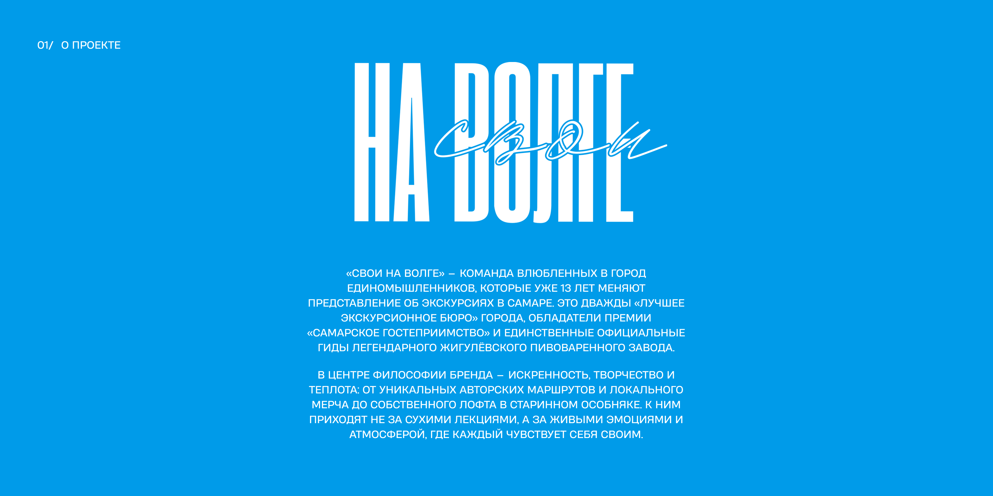 СВОИ НА ВОЛГЕ, интернет магазин — Изображение №1 — Интерфейсы на Dprofile