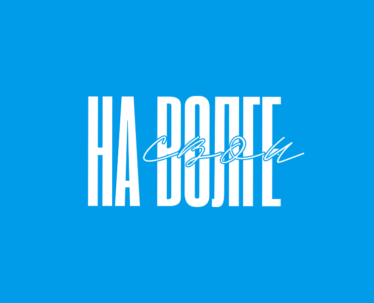 СВОИ НА ВОЛГЕ, интернет магазин — Интерфейсы на Dprofile