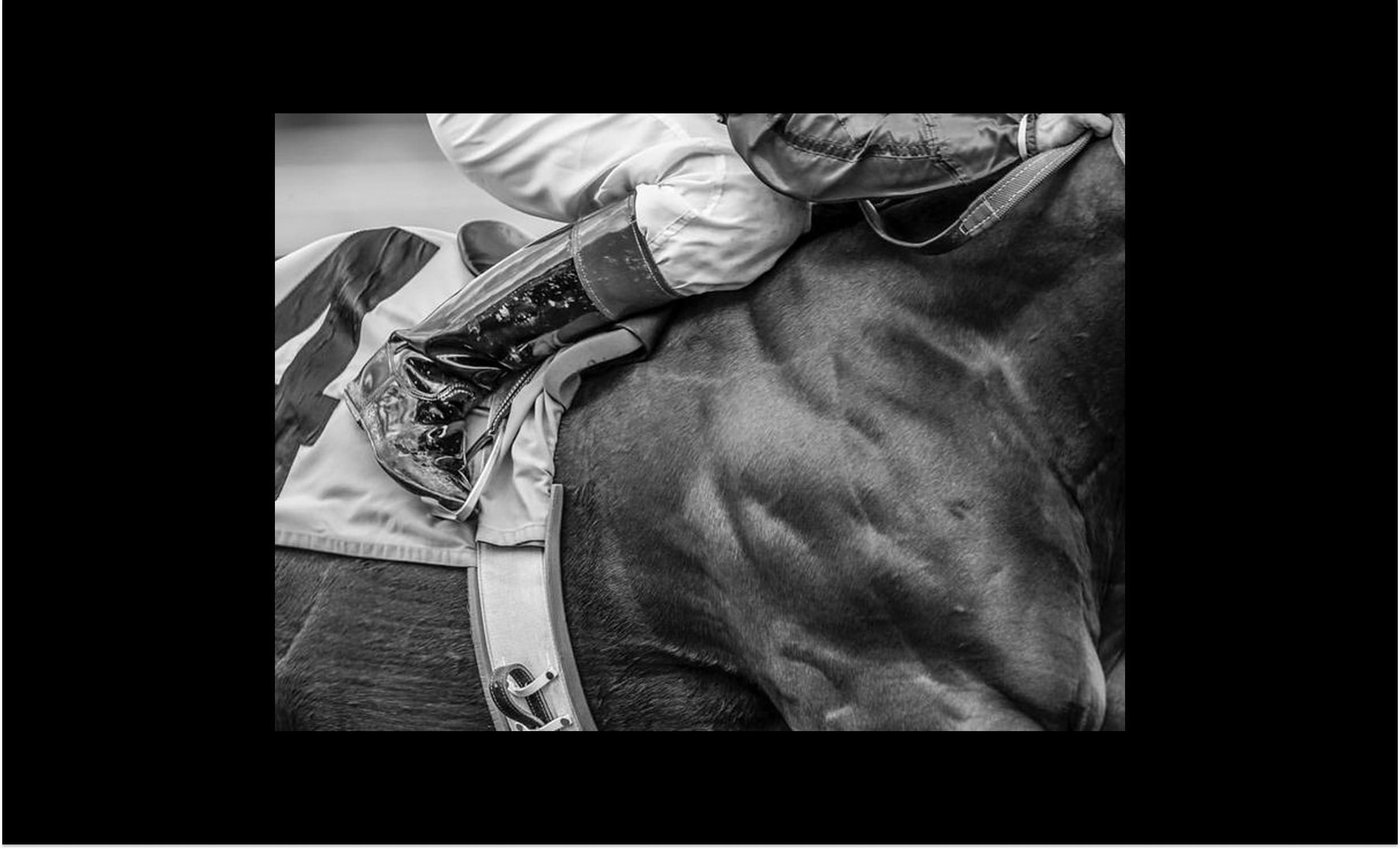 "Maison du Vent" — Identity for a Nature Riding Club — Изображение №9 — Брендинг на Dprofile