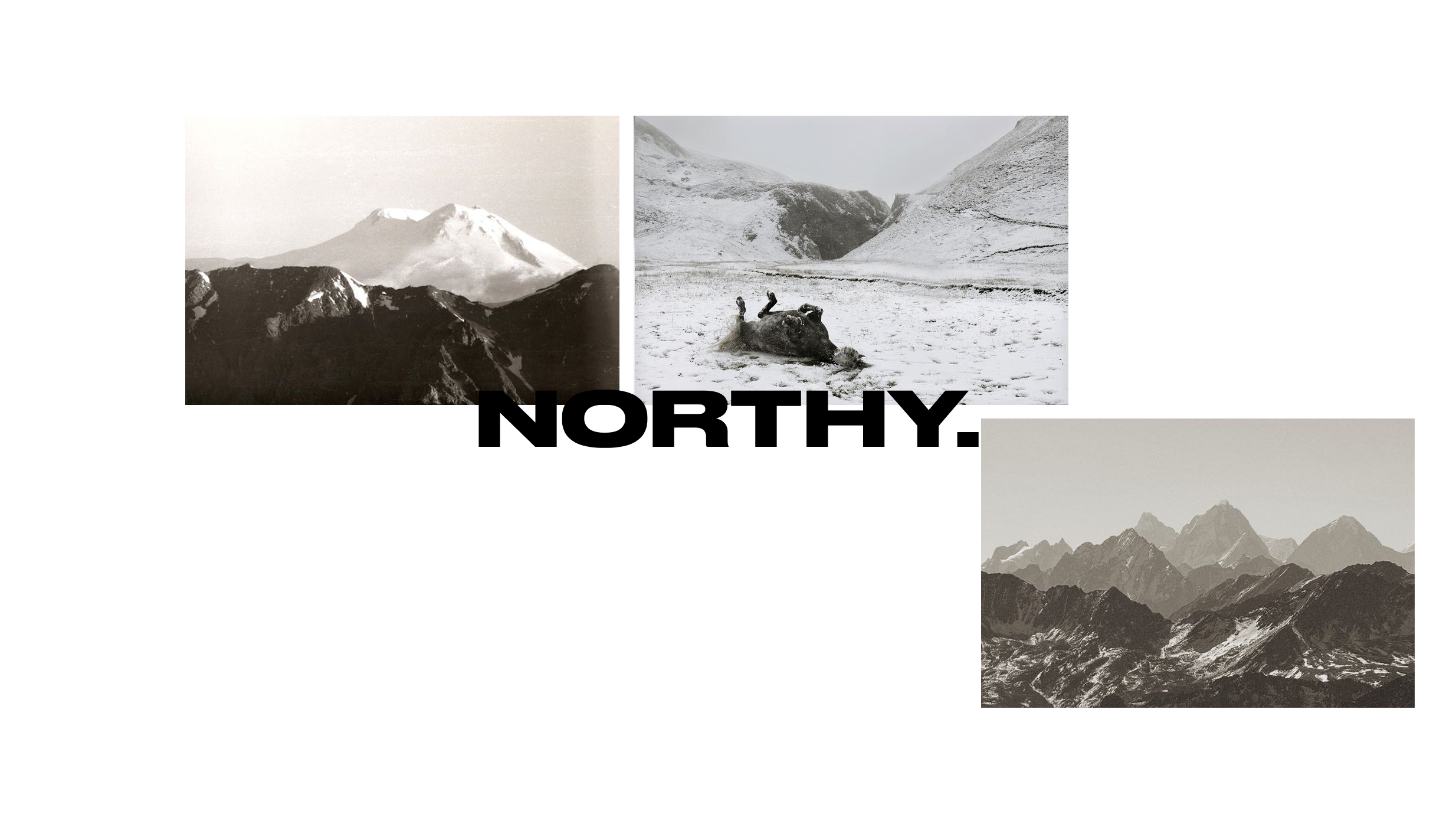 Northy. — Minimal Clothing Concept — Изображение №2 — Интерфейсы, Брендинг на Dprofile