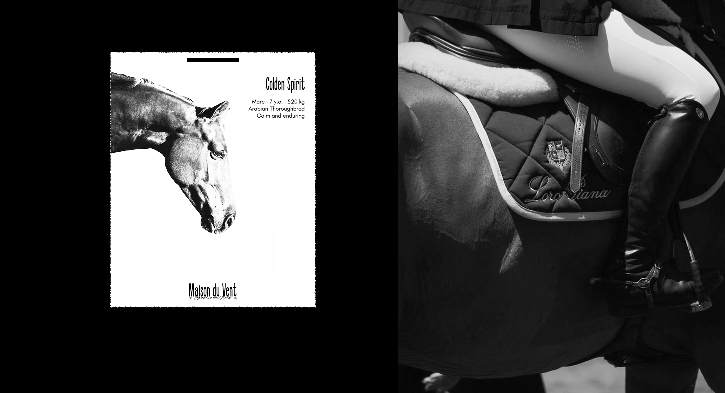 "Maison du Vent" — Identity for a Nature Riding Club — Изображение №7 — Брендинг на Dprofile