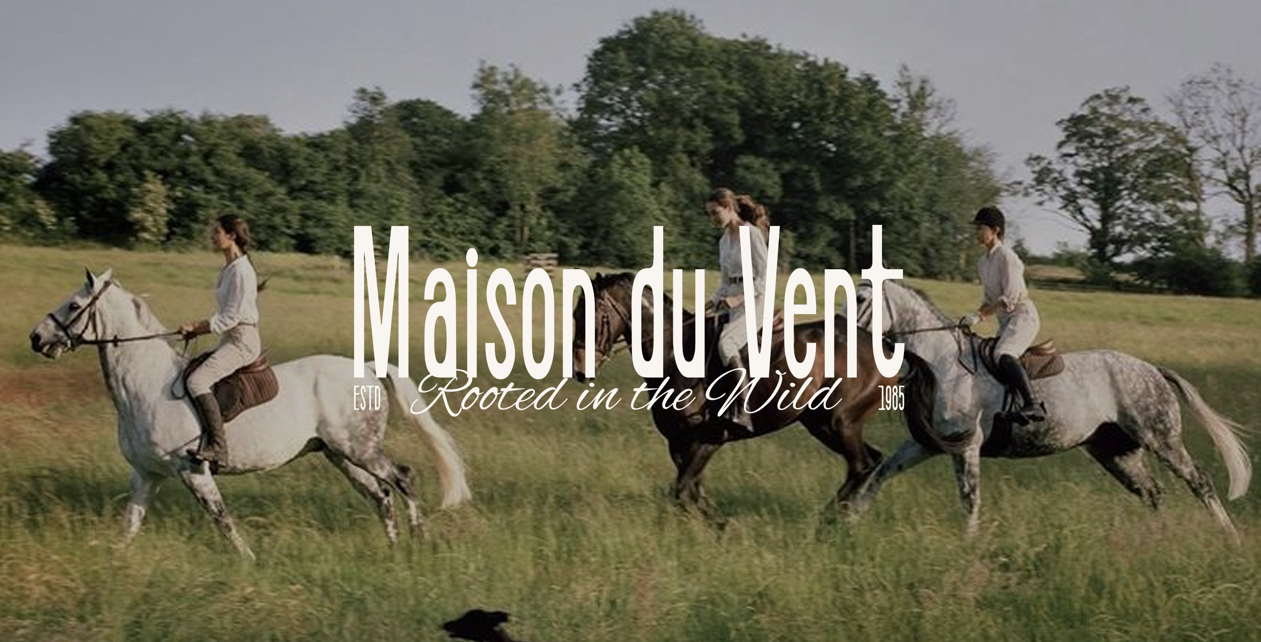 "Maison du Vent" — Identity for a Nature Riding Club — Изображение №1 — Брендинг на Dprofile