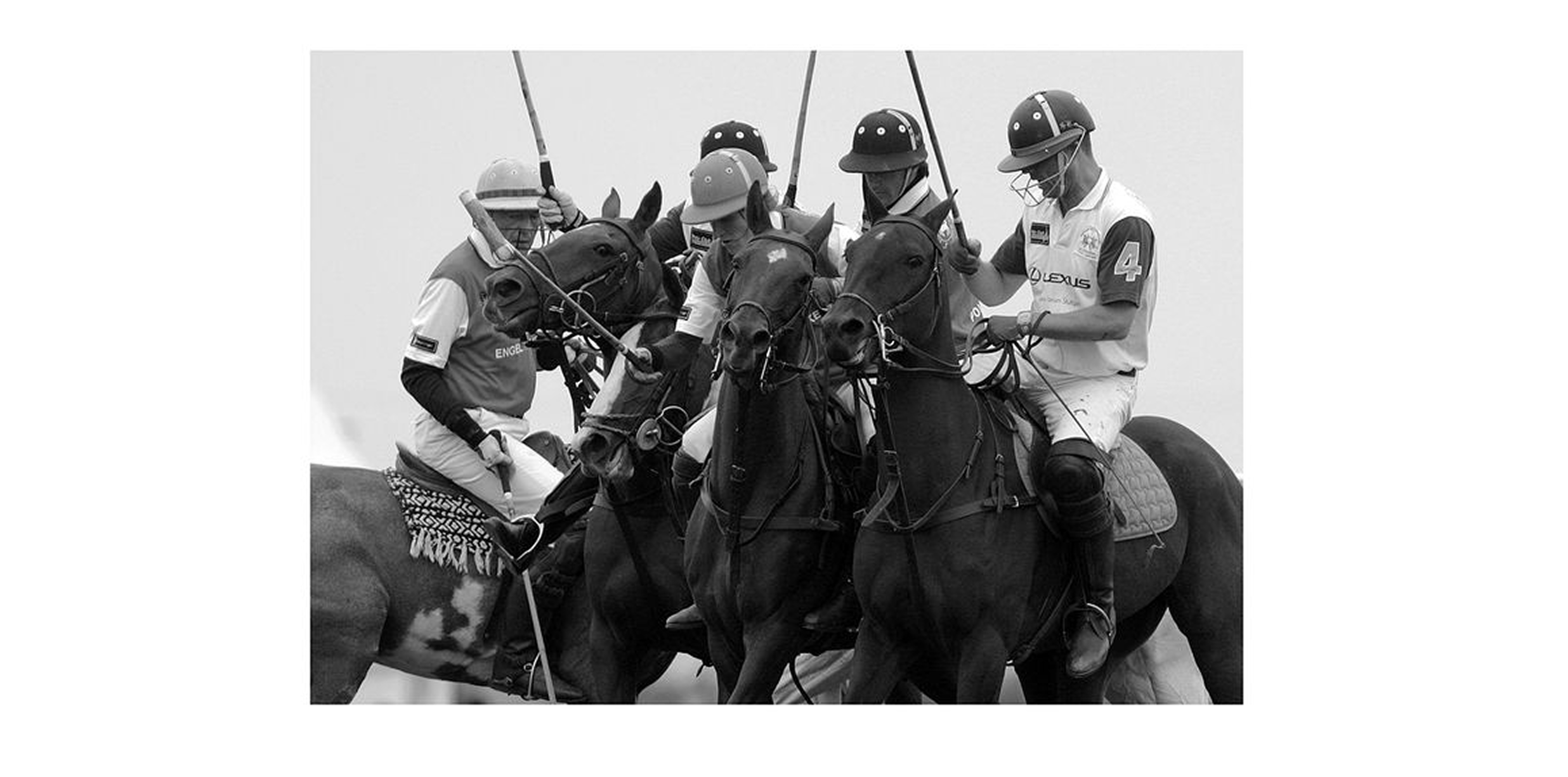 "Maison du Vent" — Identity for a Nature Riding Club — Изображение №5 — Брендинг на Dprofile