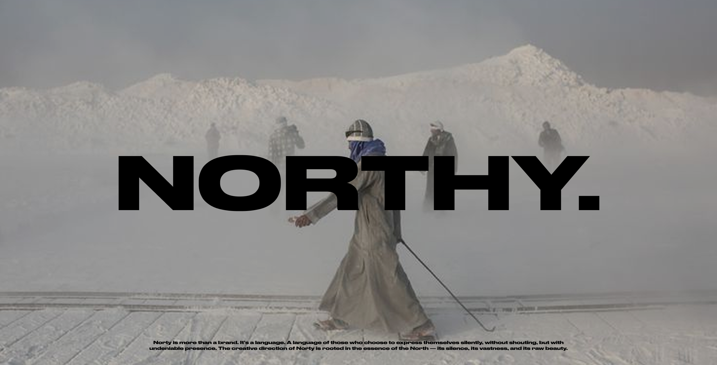 Northy. — Minimal Clothing Concept — Изображение №1 — Интерфейсы, Брендинг на Dprofile