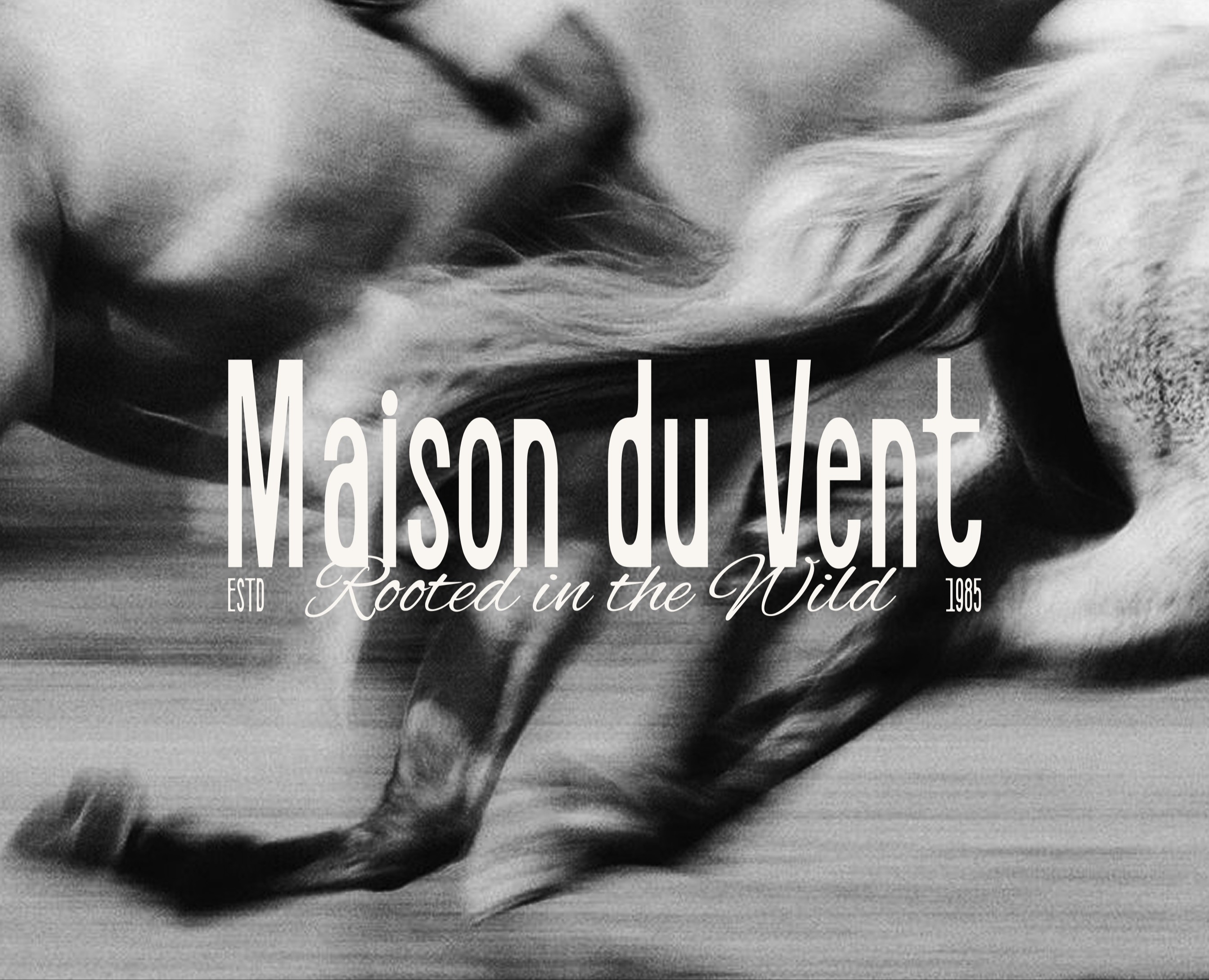 "Maison du Vent" — Identity for a Nature Riding Club на Dprofile