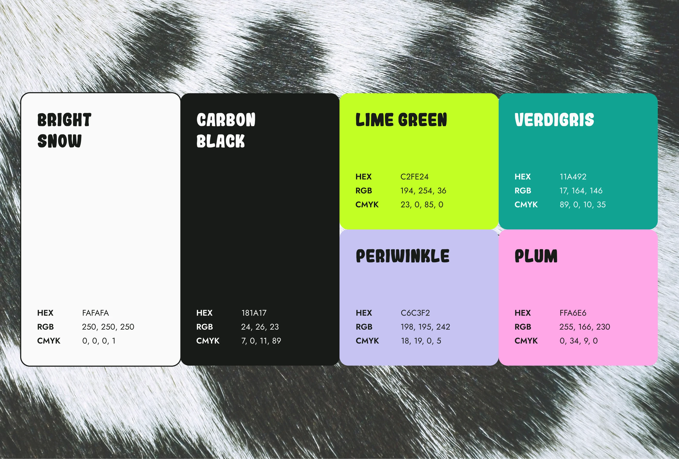 Фирменный стиль / Аксессуары для собак / WanderPAW — Изображение №4 — Брендинг на Dprofile