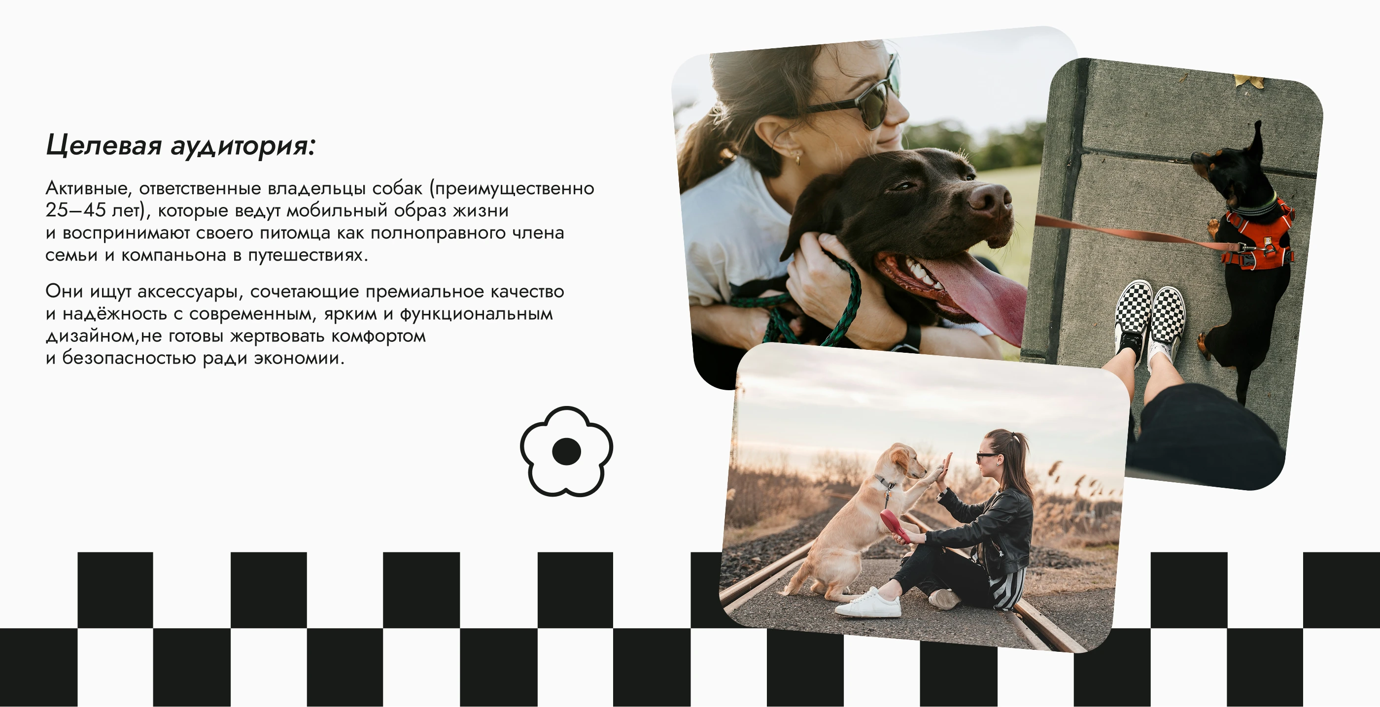 Фирменный стиль / Аксессуары для собак / WanderPAW — Изображение №3 — Брендинг на Dprofile