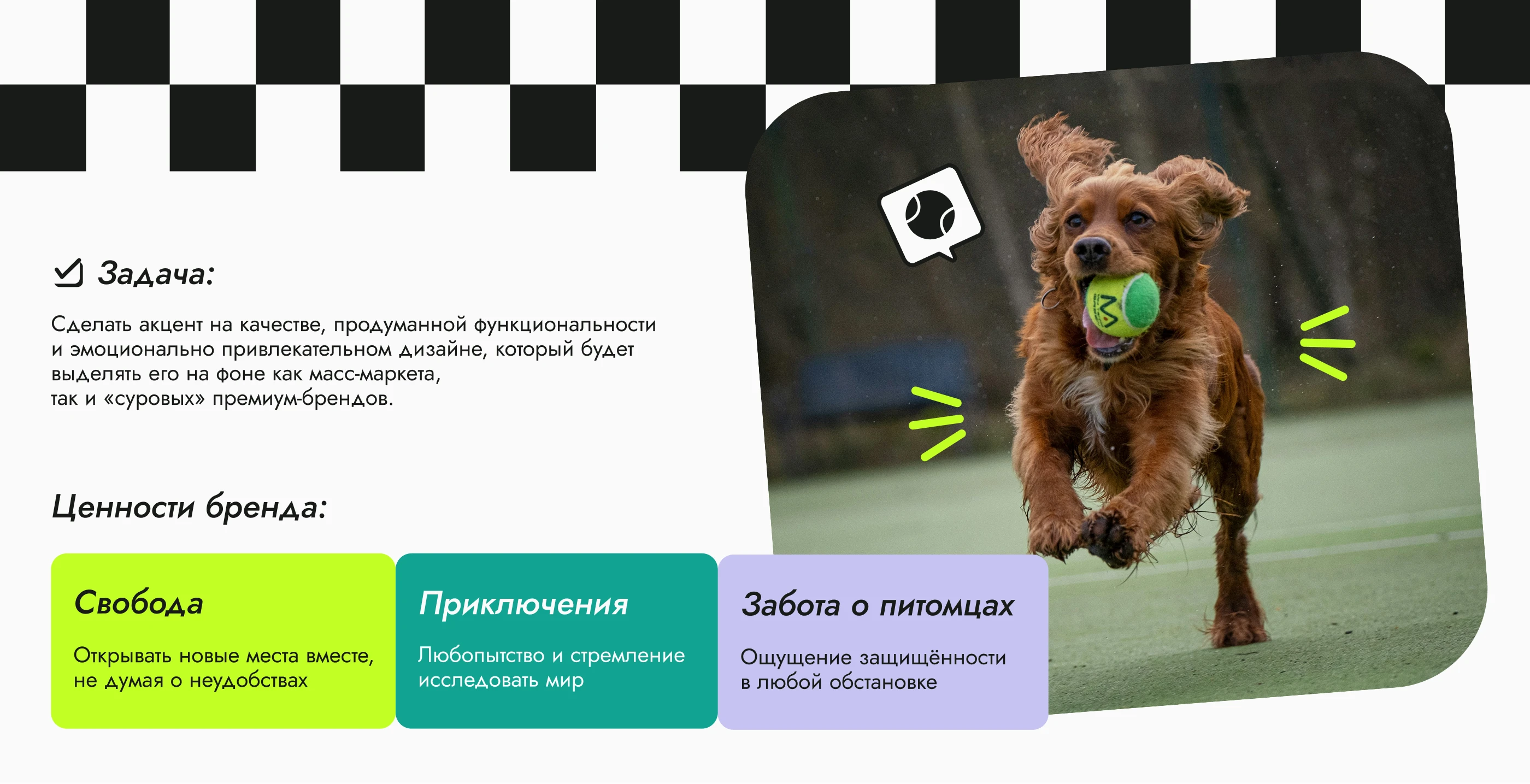 Фирменный стиль / Аксессуары для собак / WanderPAW — Изображение №2 — Брендинг на Dprofile