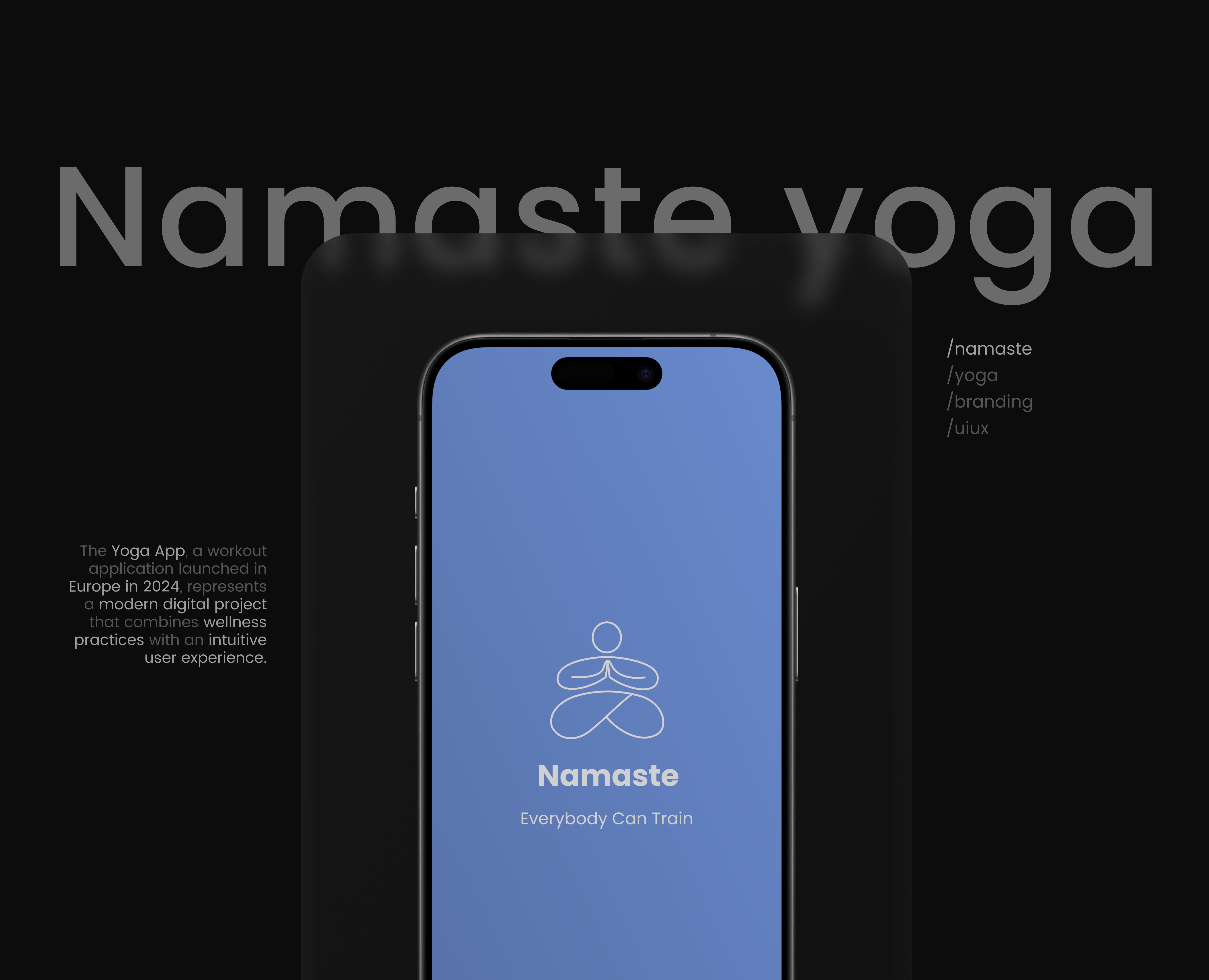 Приложение для тренировок — Интерфейсы, Брендинг на Dprofile