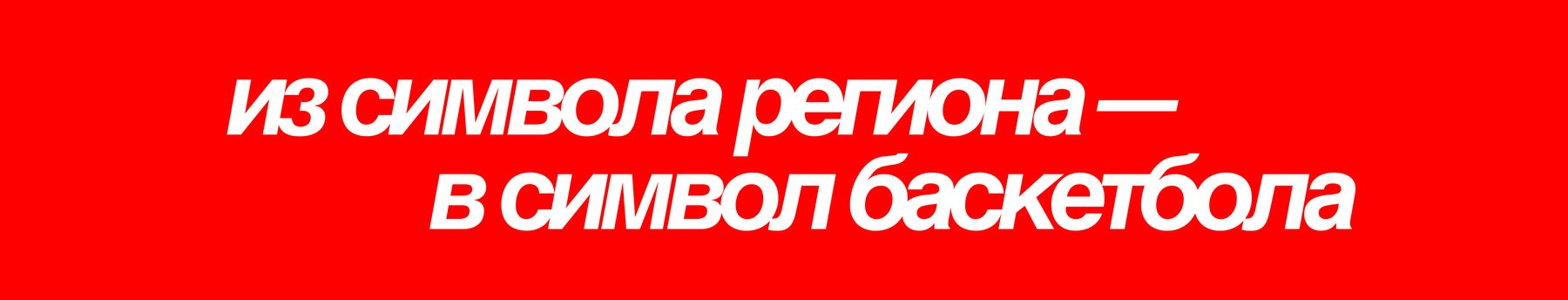 брендинг ФБКО: федерация баскетбола кировской области — Изображение №25 — Брендинг на Dprofile