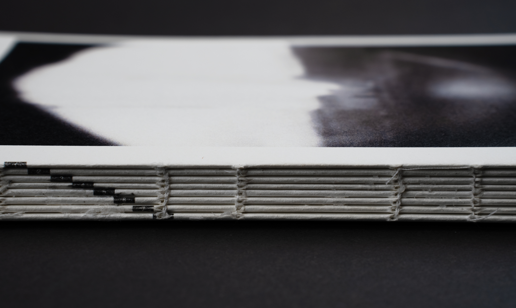 Книга: Самодельный пинхол:
акт художественного высказывания — Изображение №2 — Графика на Dprofile