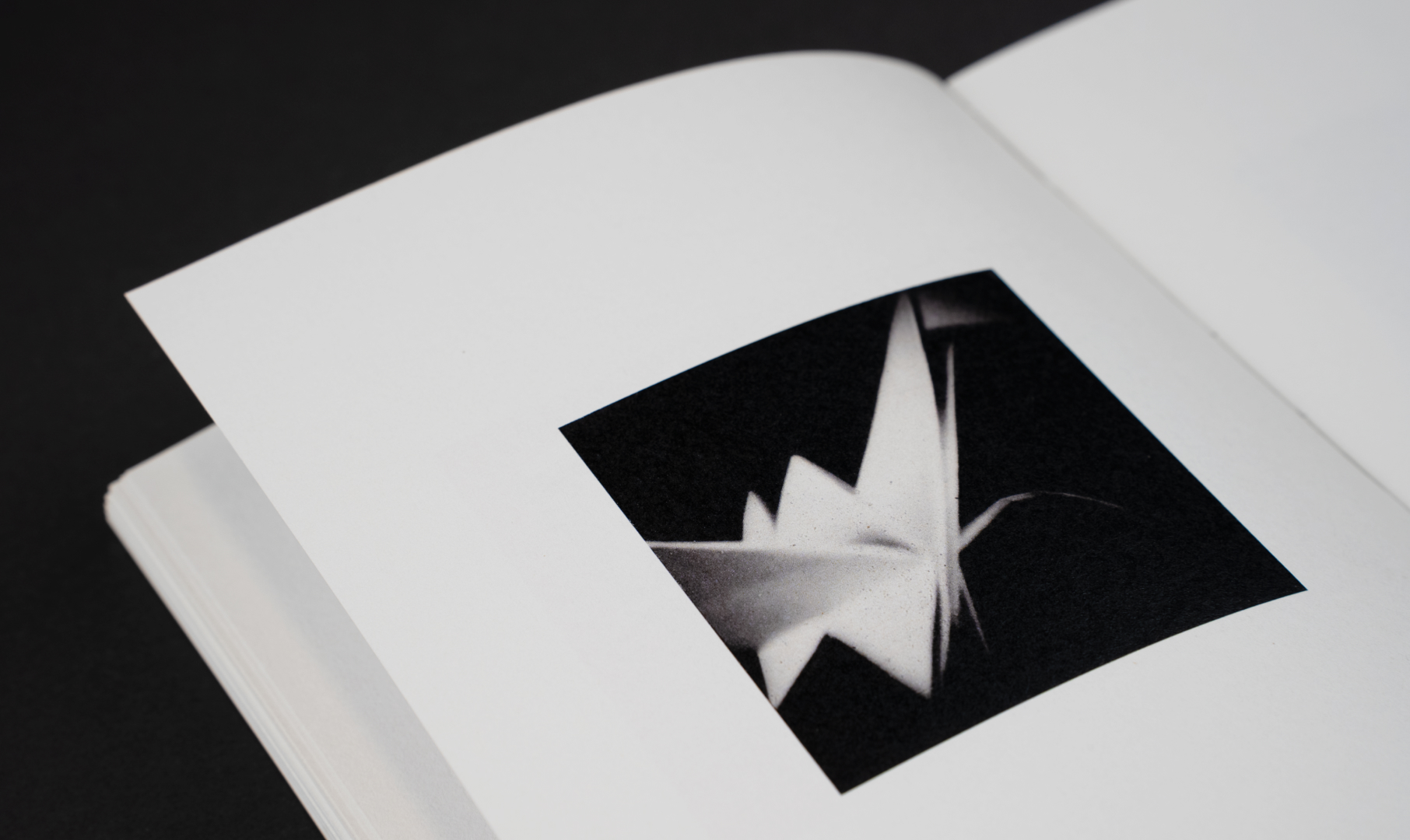 Книга: Самодельный пинхол:
акт художественного высказывания — Изображение №4 — Графика на Dprofile