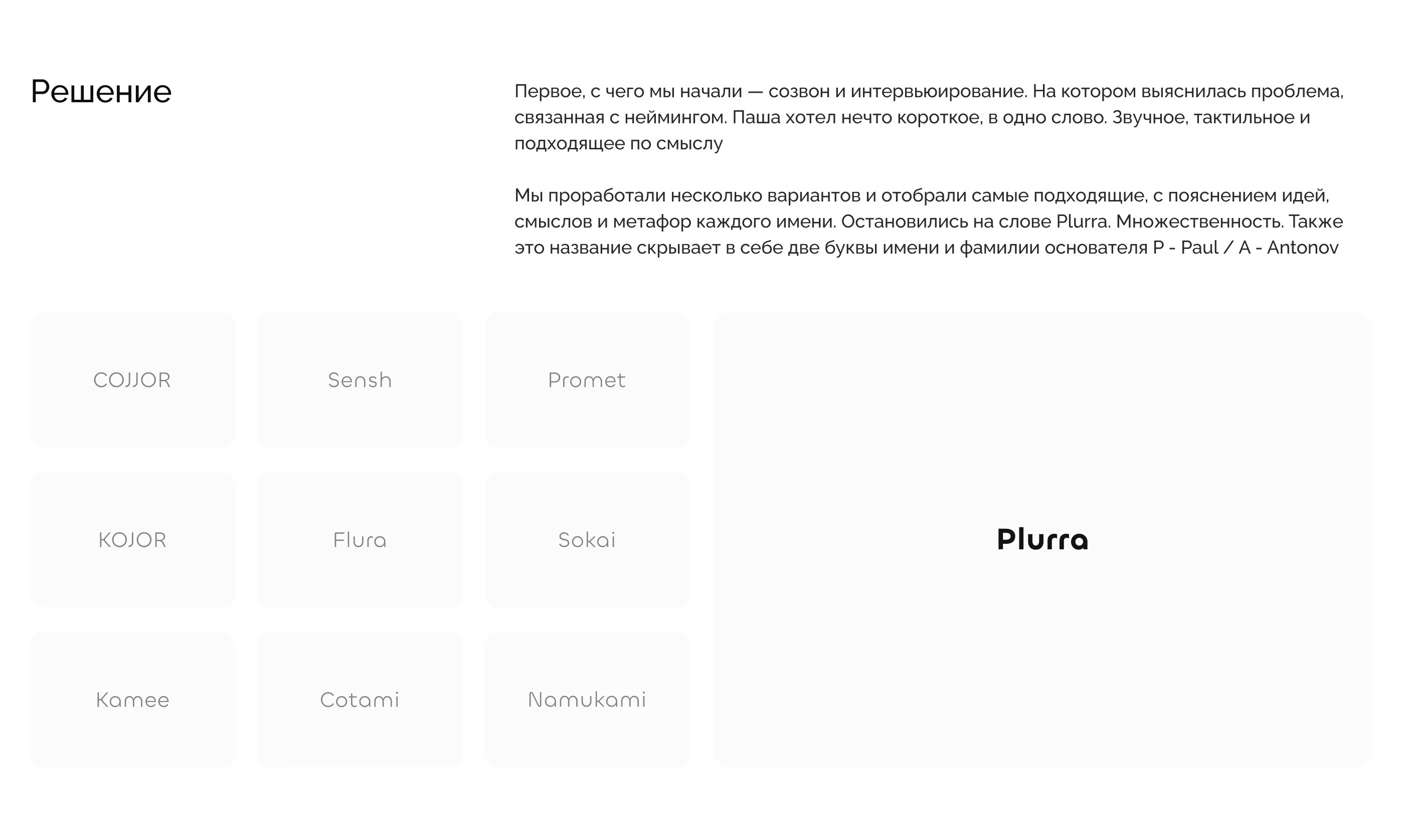 Branding for Plurra — Изображение №4 — Брендинг на Dprofile