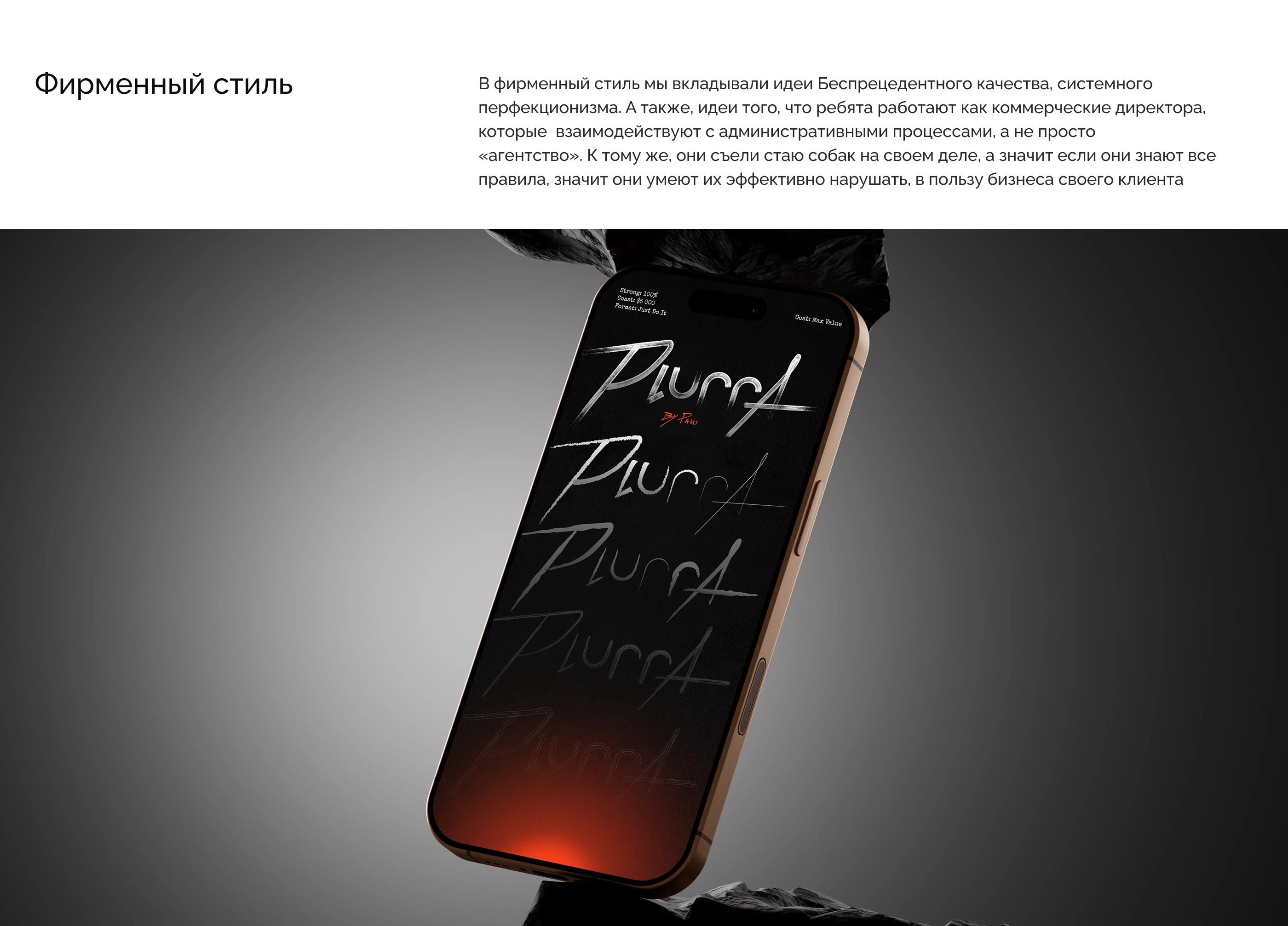 Branding for Plurra — Изображение №9 — Брендинг на Dprofile