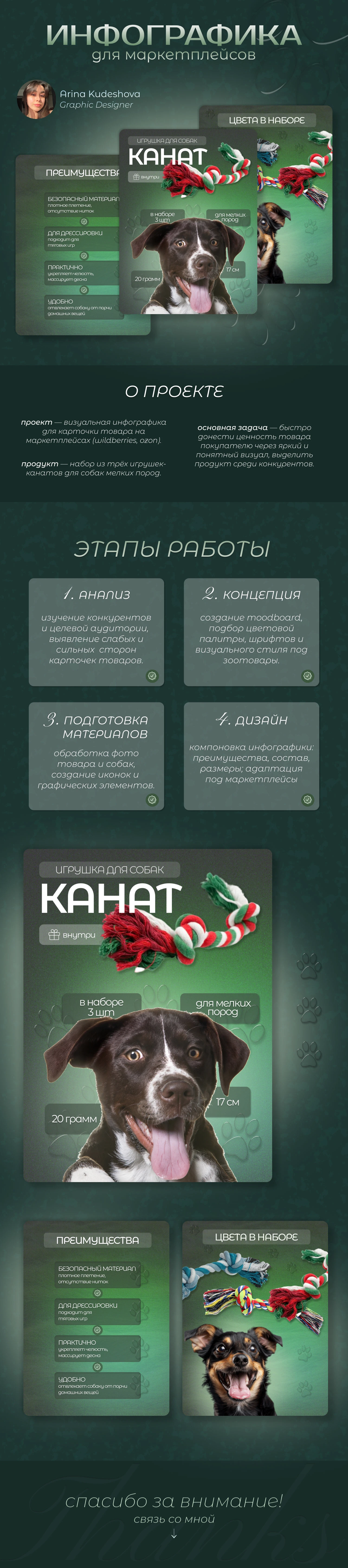 ИНФОГРАИКА | ДИЗАЙН КАРТОЧЕК — Изображение №1 — Брендинг, Маркетинг на Dprofile