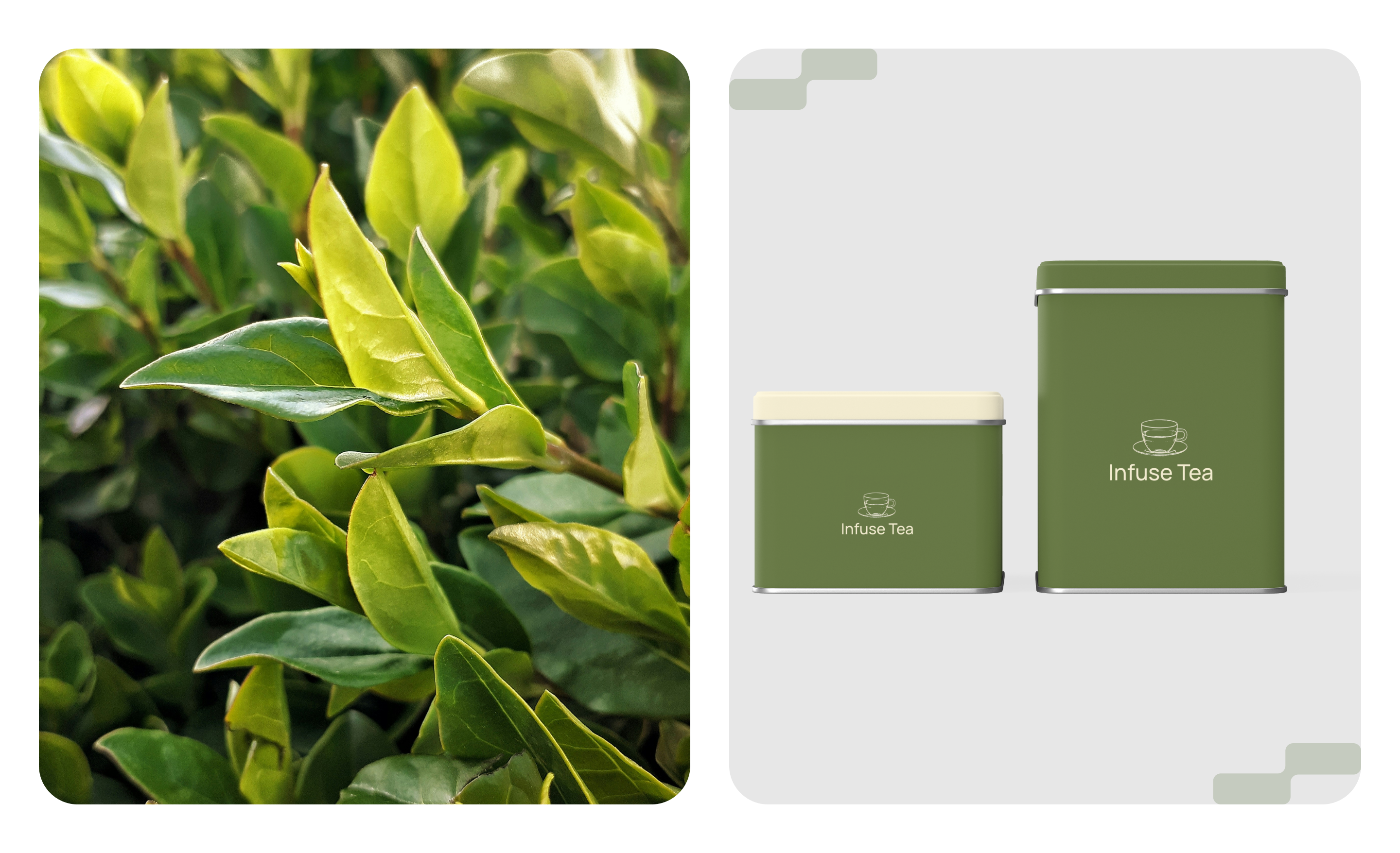 Infuse Tea — Изображение №8 — Интерфейсы на Dprofile