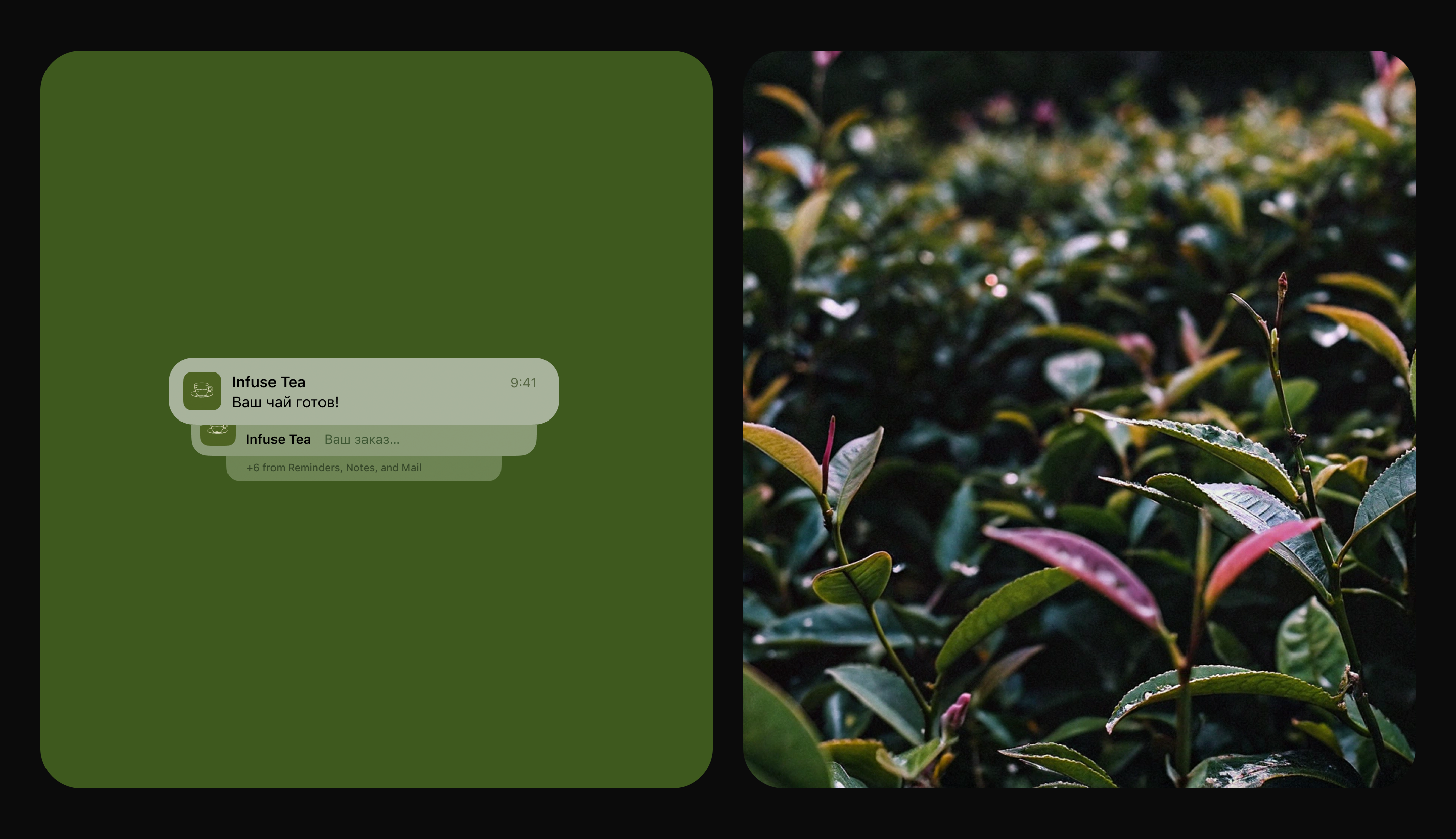 Infuse Tea — Изображение №12 — Интерфейсы на Dprofile