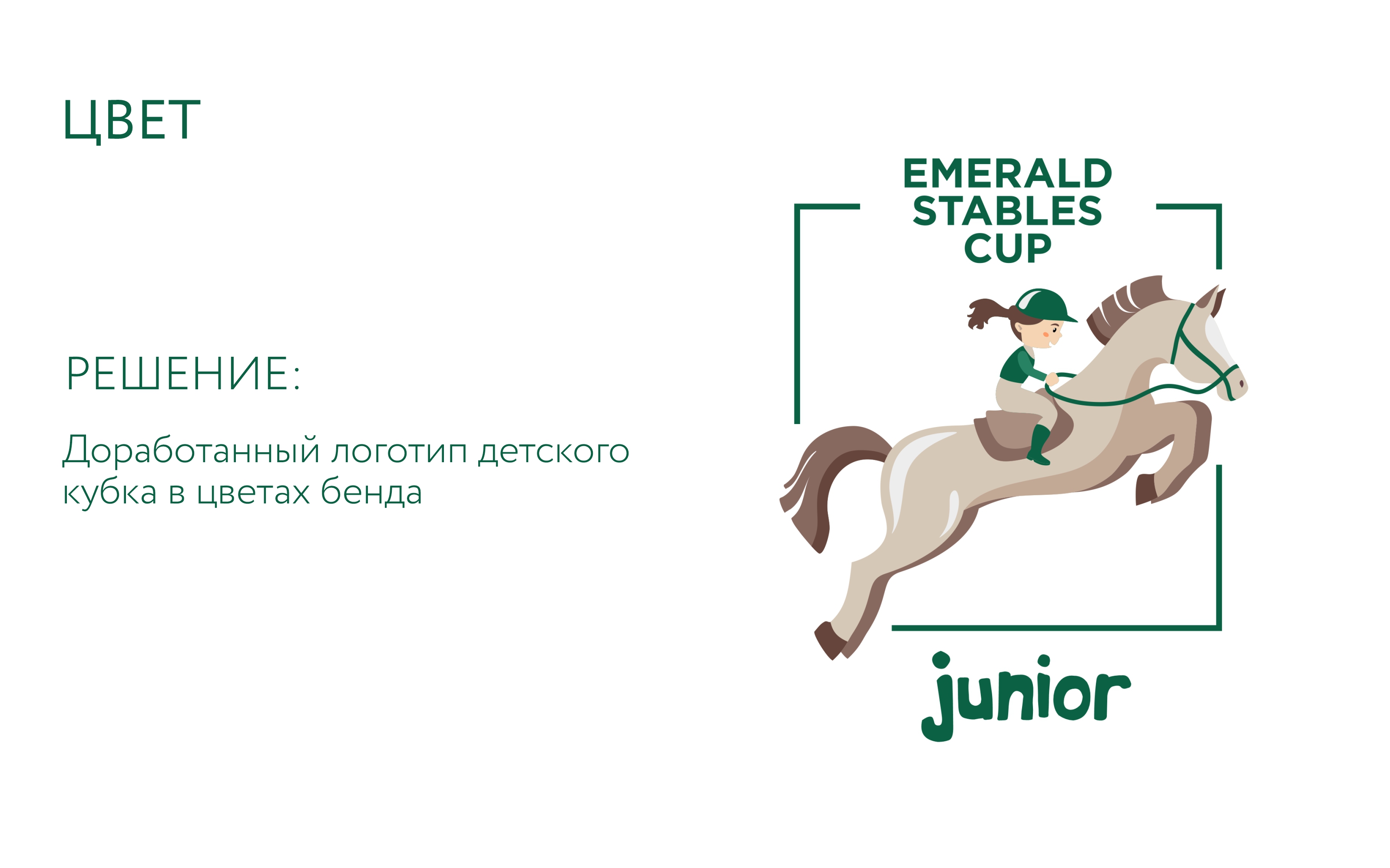 Логотип для детского кубка по конкуру — Изображение №4 — Брендинг, Иллюстрация на Dprofile