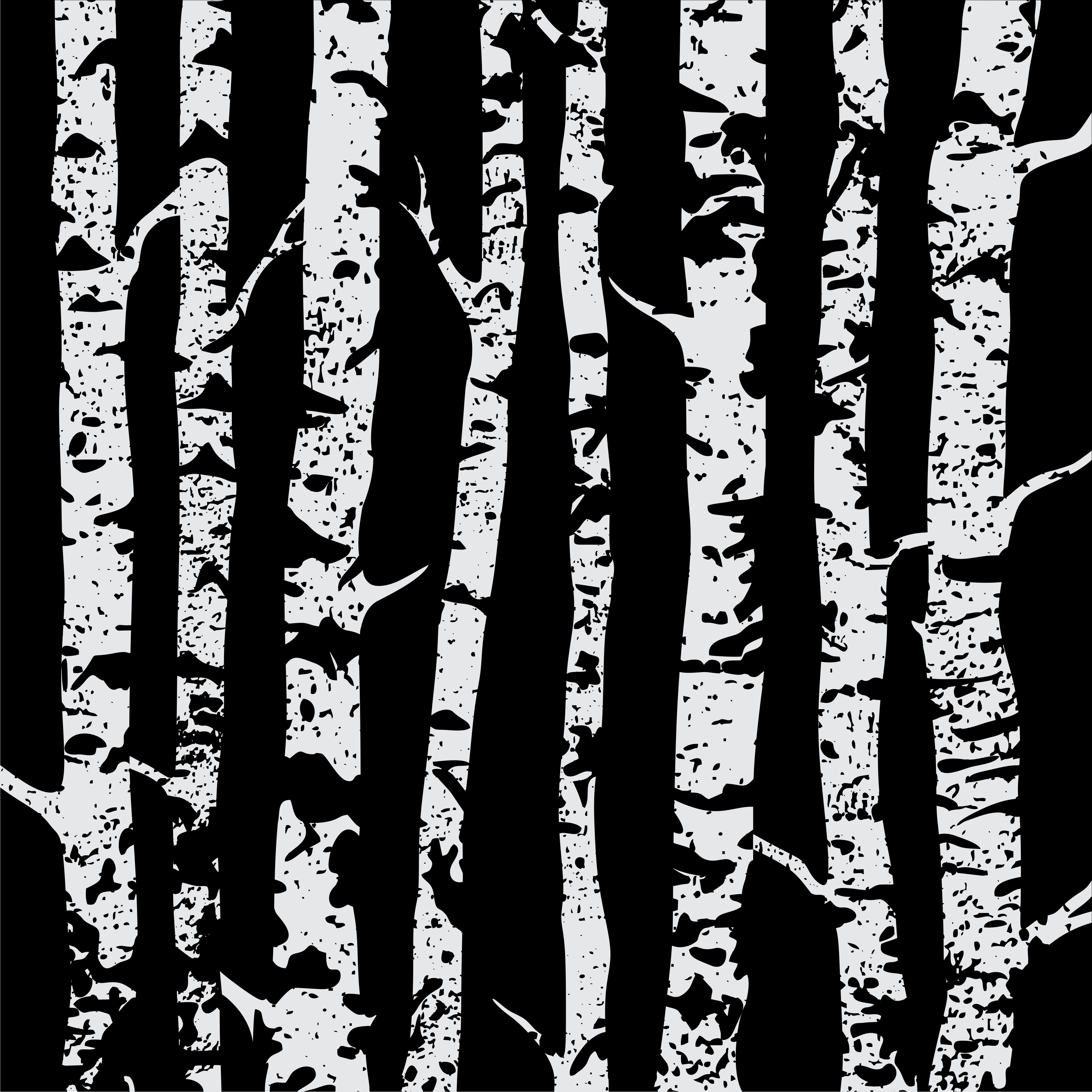 Березы. Векторная иллюстрация — Изображение №2 — Иллюстрация, Графика на Dprofile