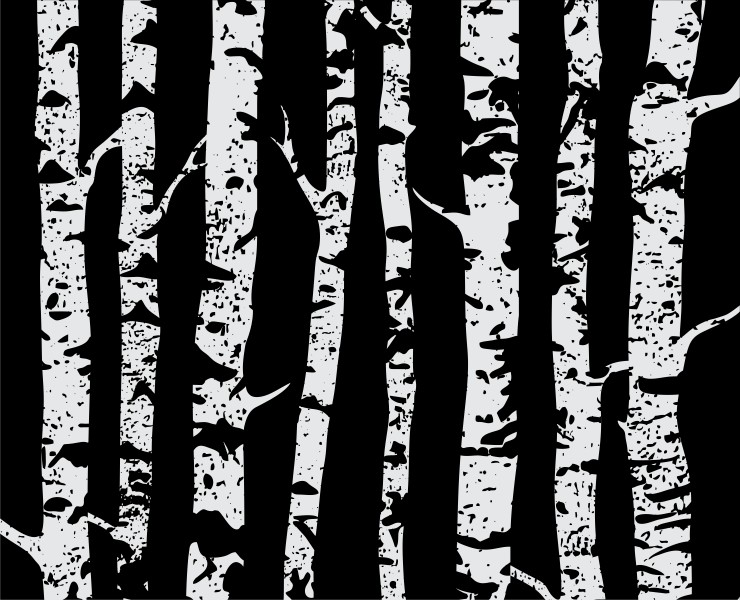 Березы. Векторная иллюстрация — Иллюстрация, Графика на Dprofile