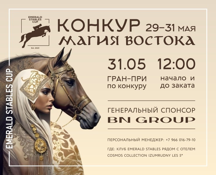 Оформление фестиваля. Магия востока — Брендинг, Графика на Dprofile