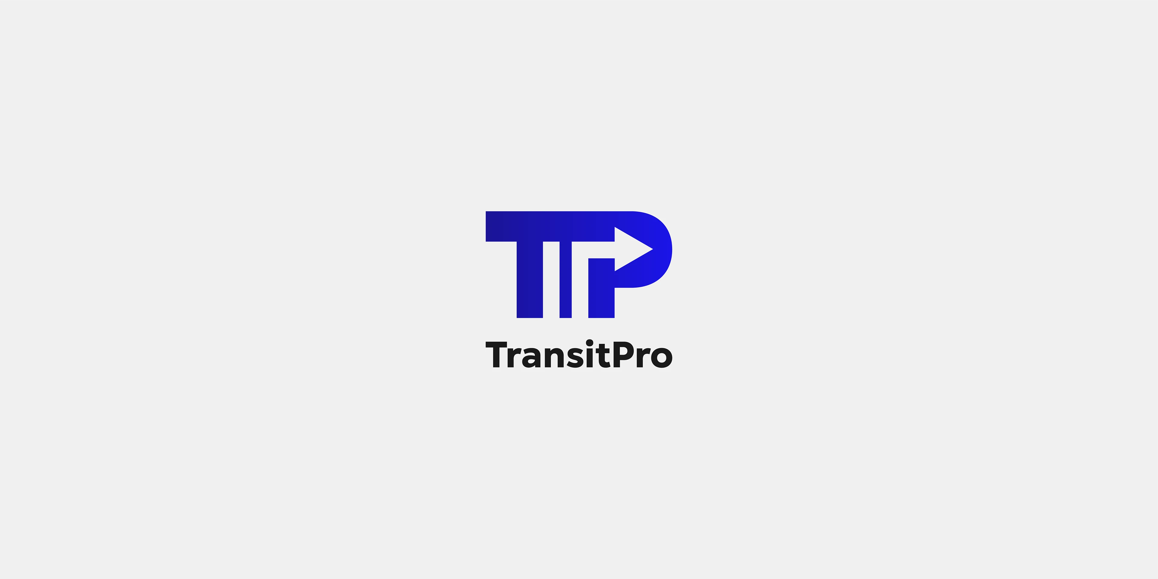 TransitPro | Branding — Изображение №1 — Брендинг на Dprofile