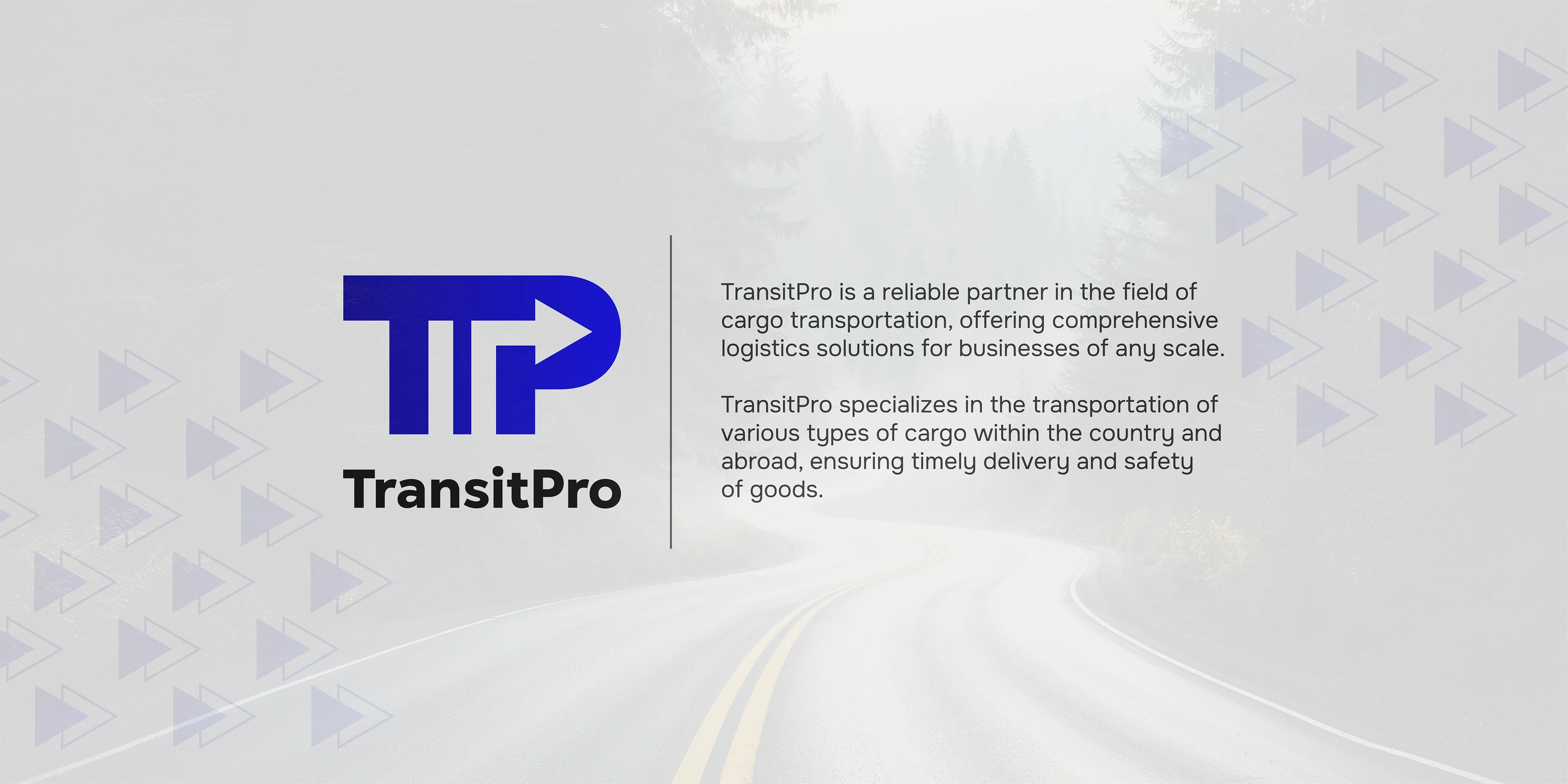 TransitPro | Branding — Изображение №2 — Брендинг на Dprofile