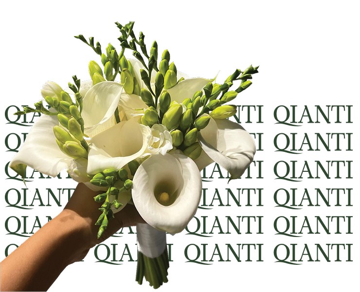 Цветочный магазин QIANTI — Брендинг, Иллюстрация на Dprofile