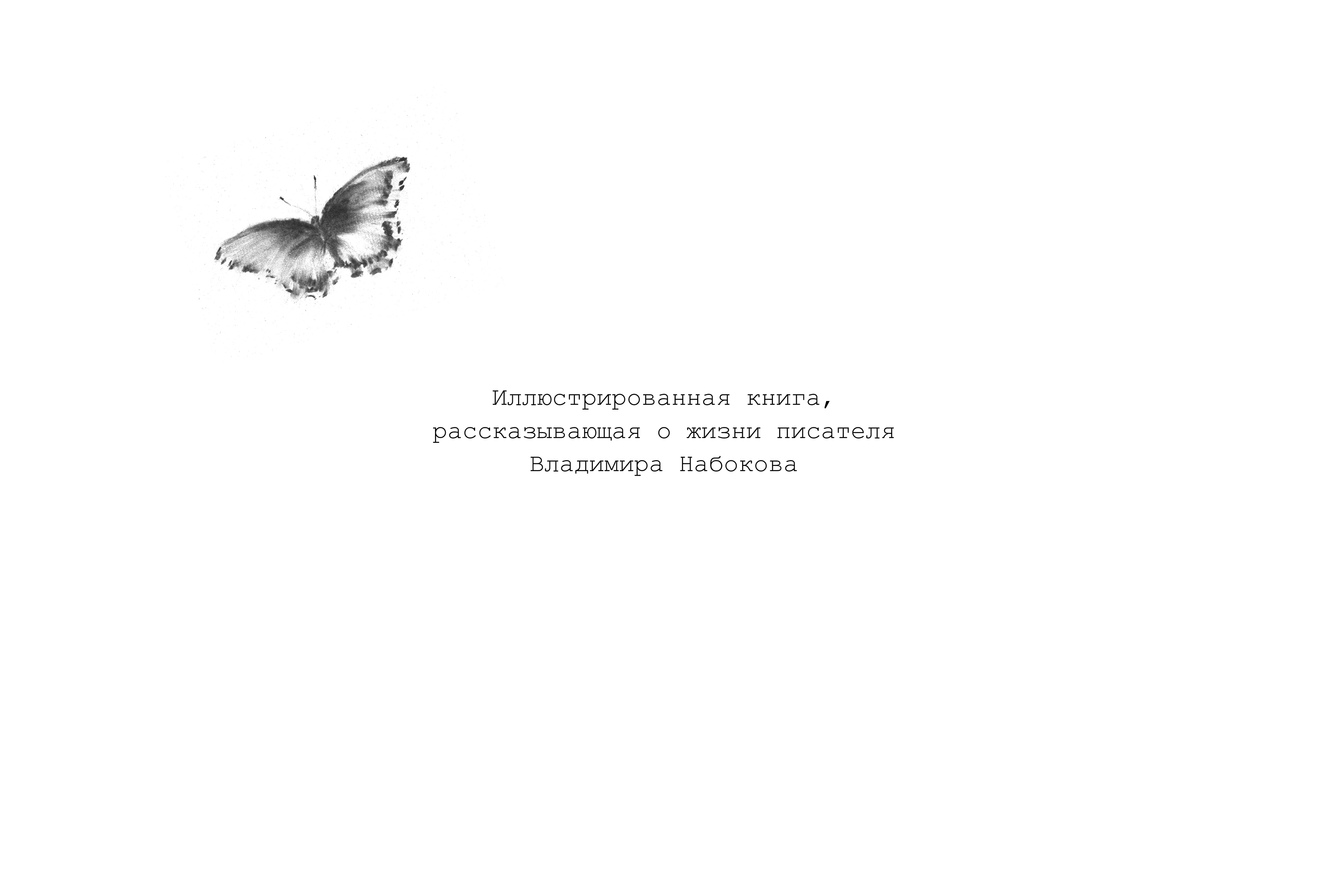 Набокову — Изображение №2 — Иллюстрация на Dprofile