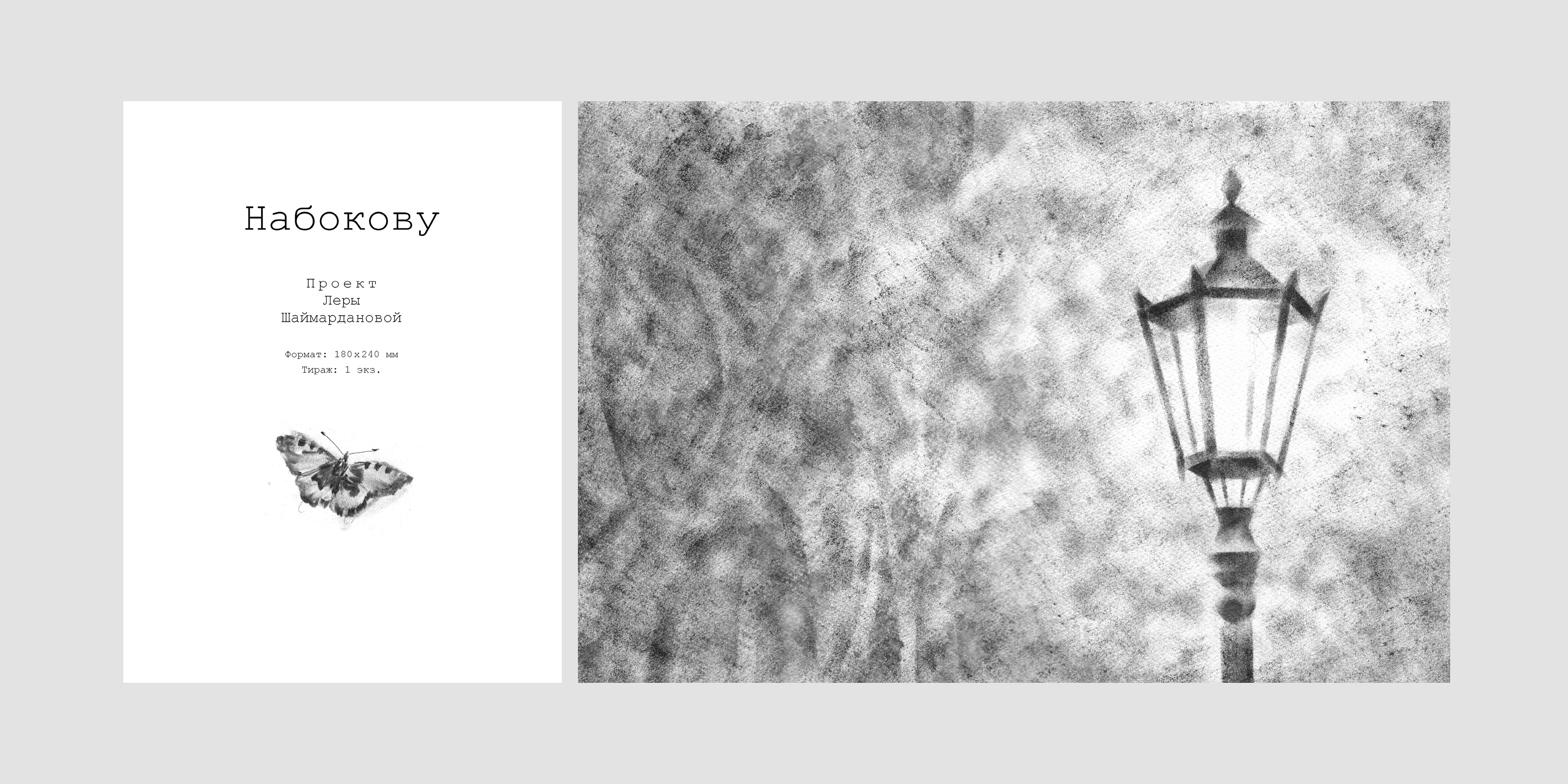 Набокову — Изображение №15 — Иллюстрация на Dprofile