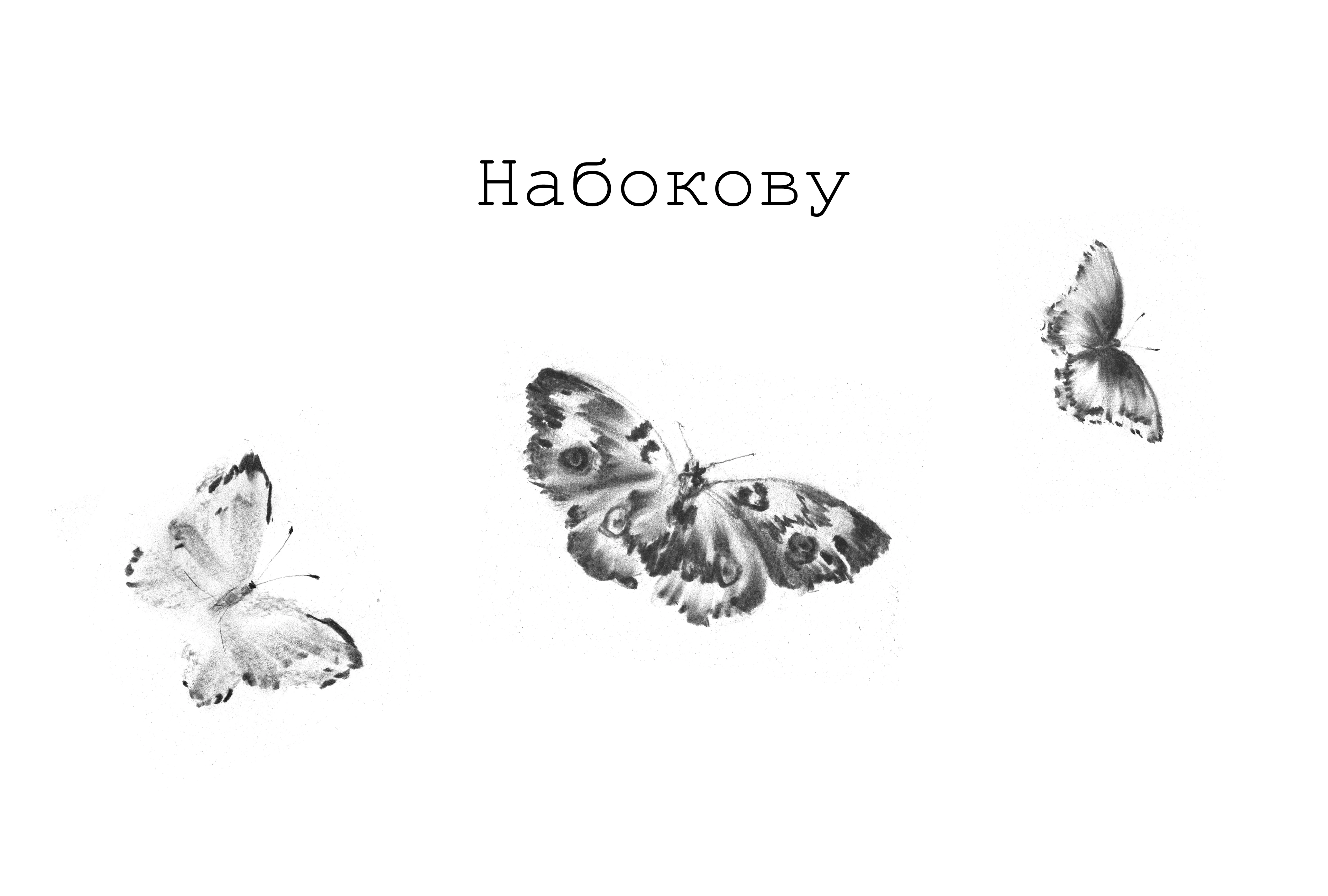 Набокову — Изображение №1 — Иллюстрация на Dprofile